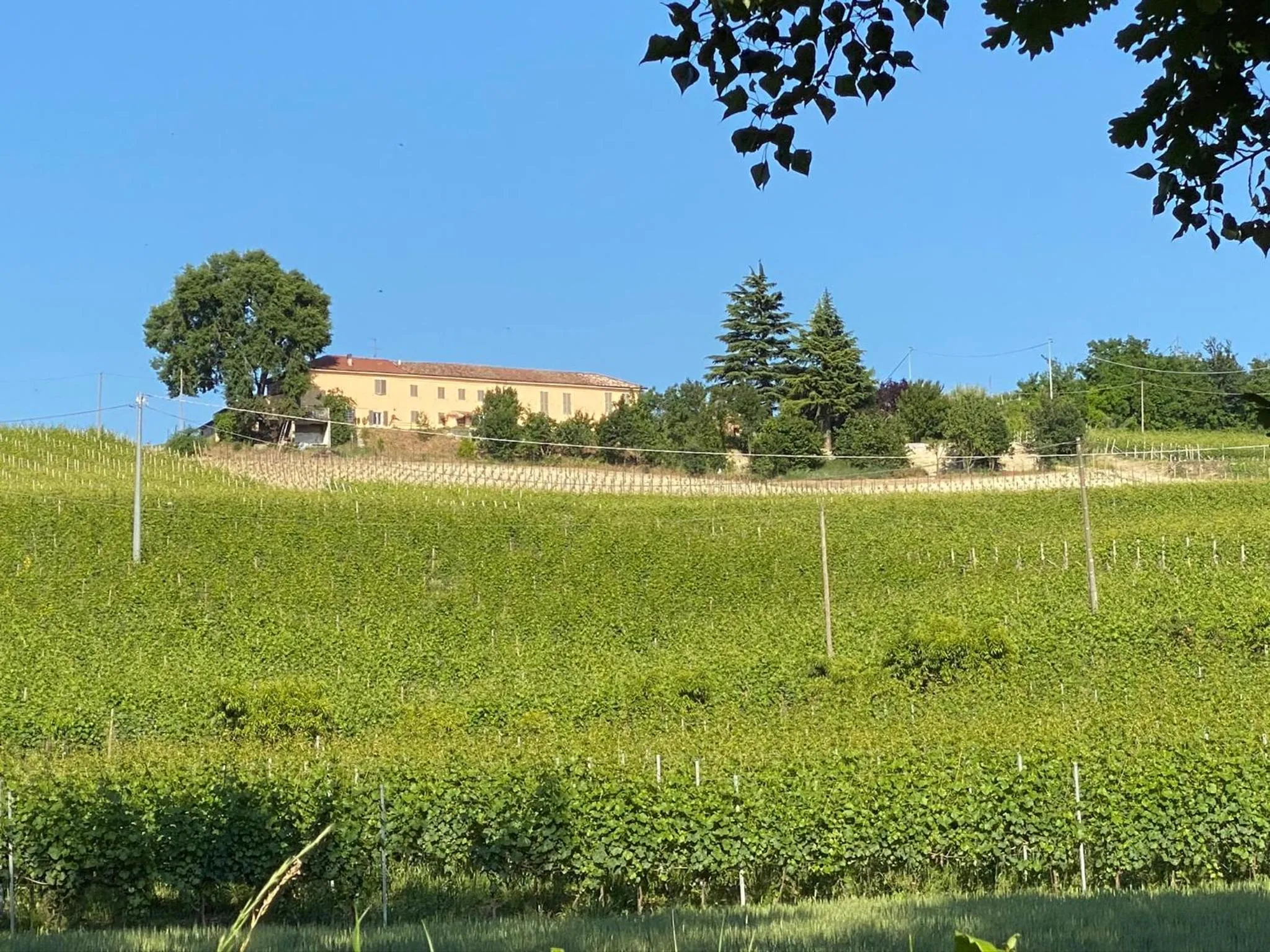 Property building in Allegro Holiday