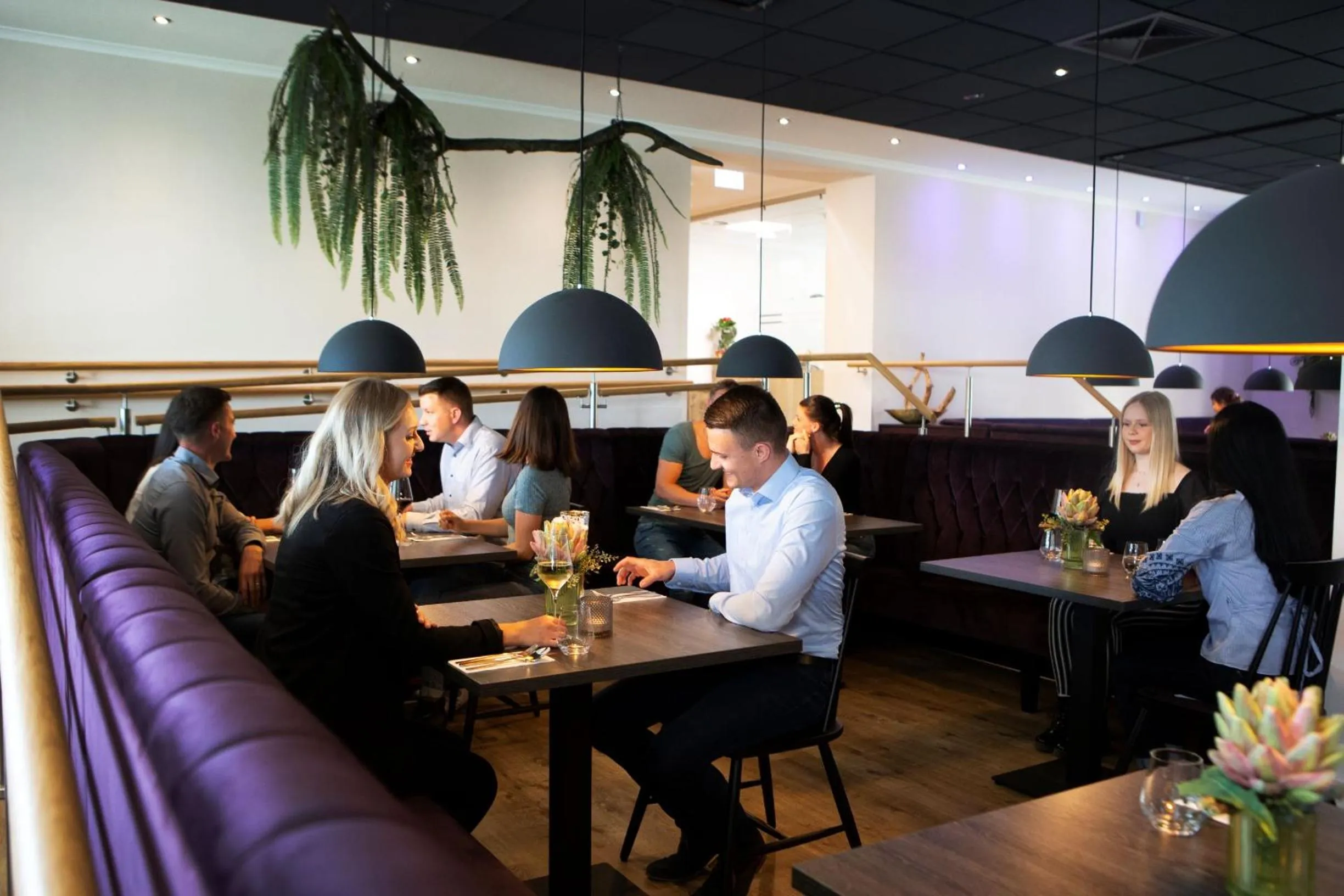 Restaurant/places to eat in Hotel Velo