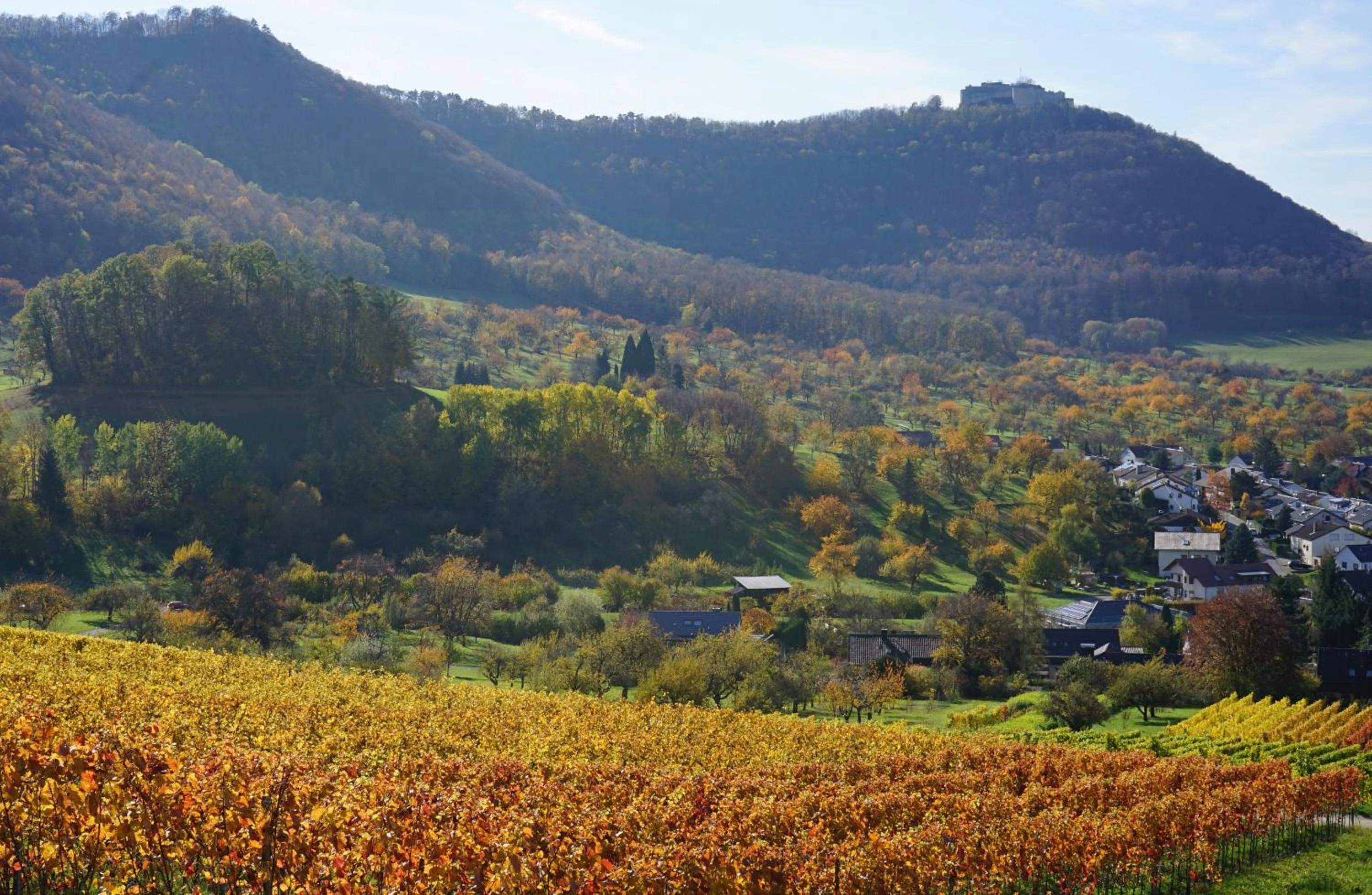 Off site in Beurener Hof