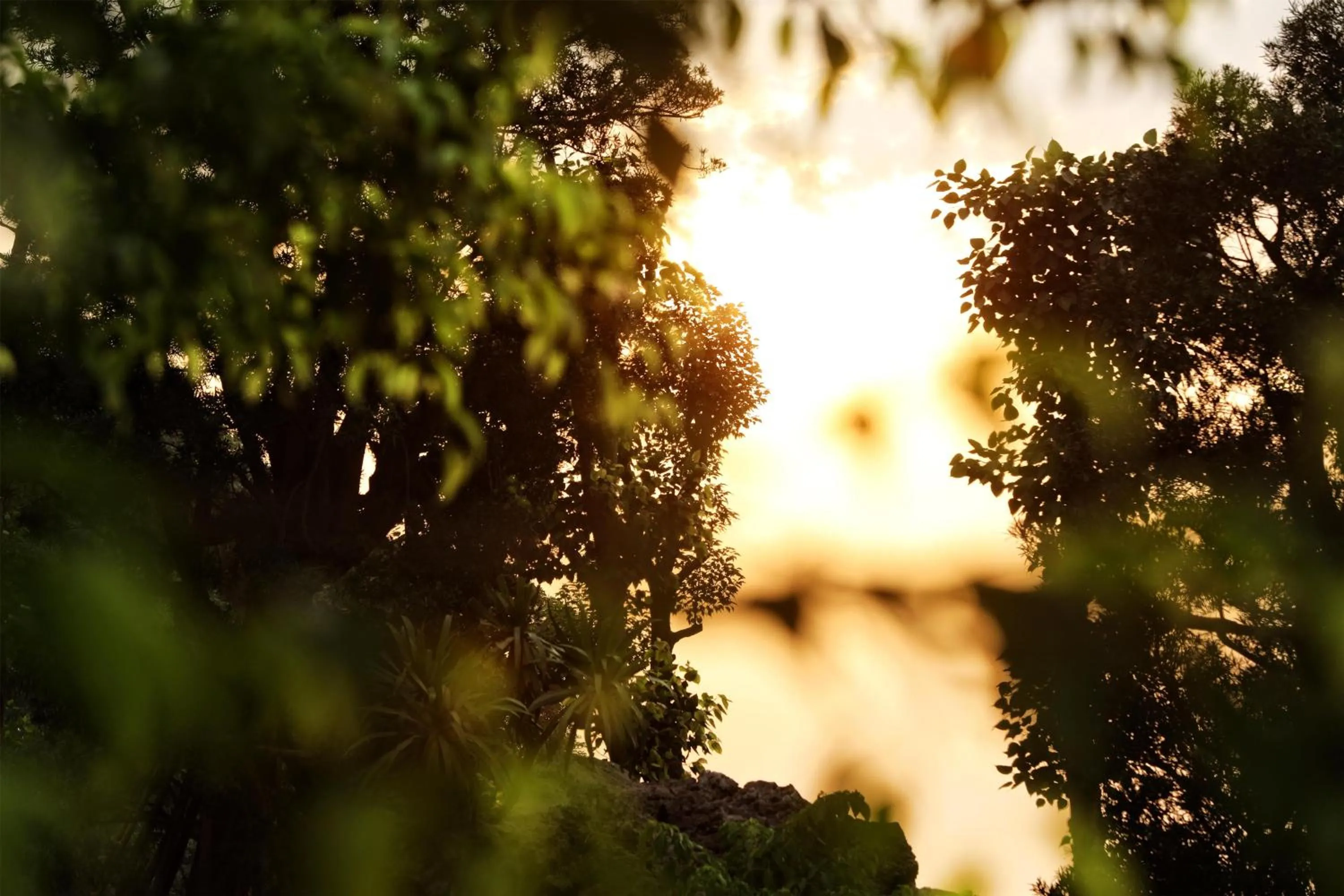 Property building in Hilton Quang Hanh Onsen Resort