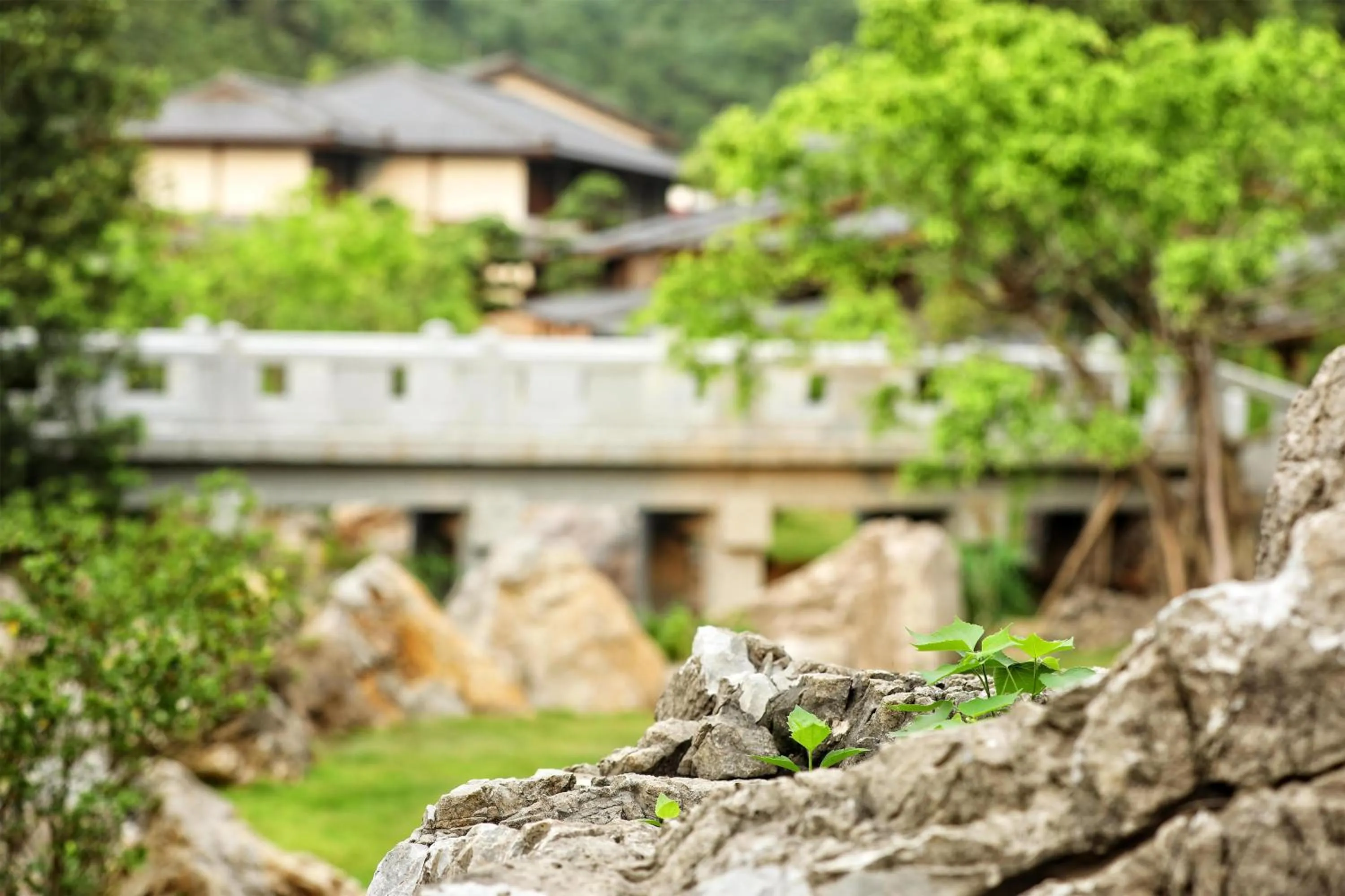 Property building in Hilton Quang Hanh Onsen Resort