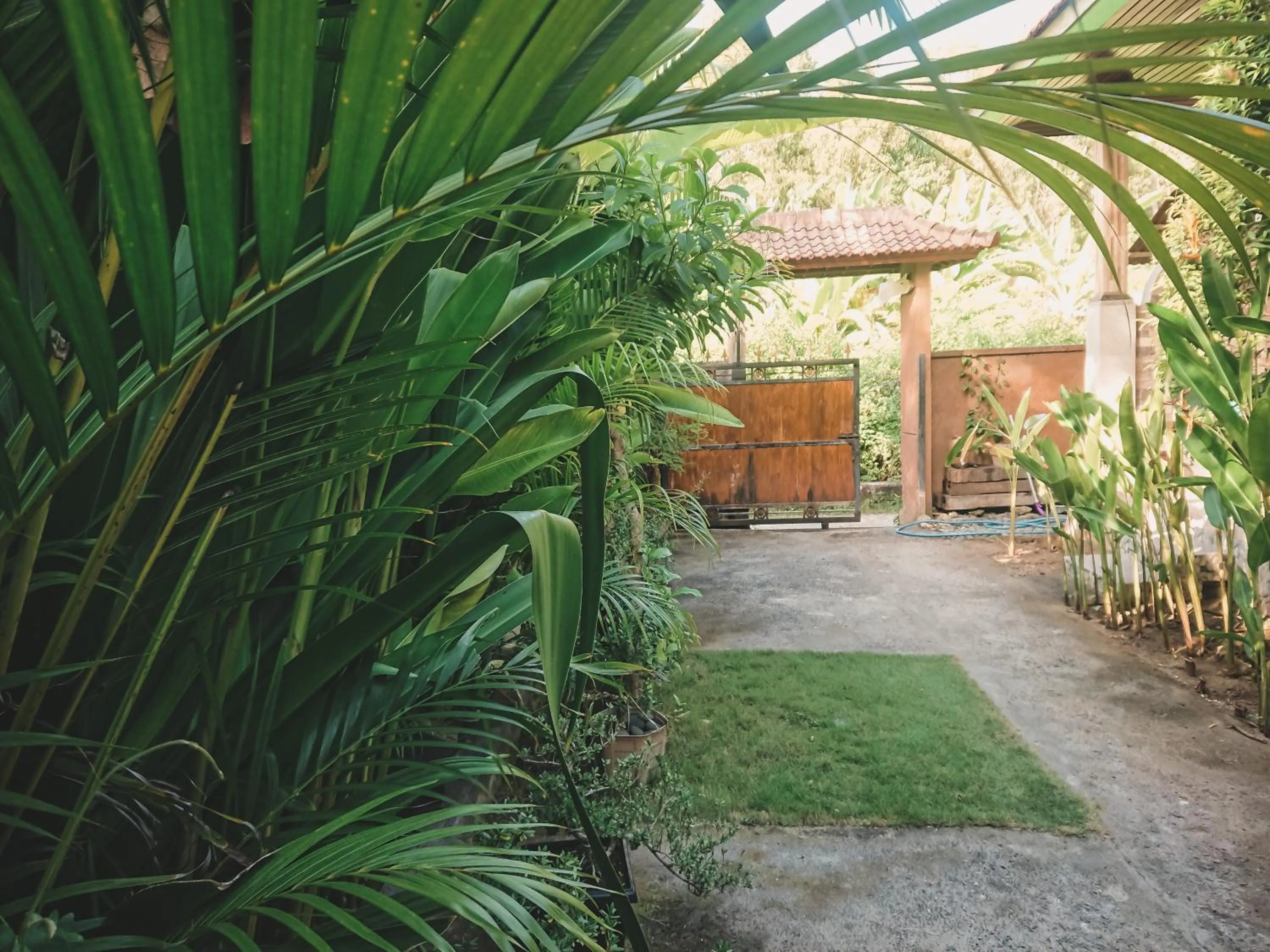 The Cozy Bidara Nusa Penida