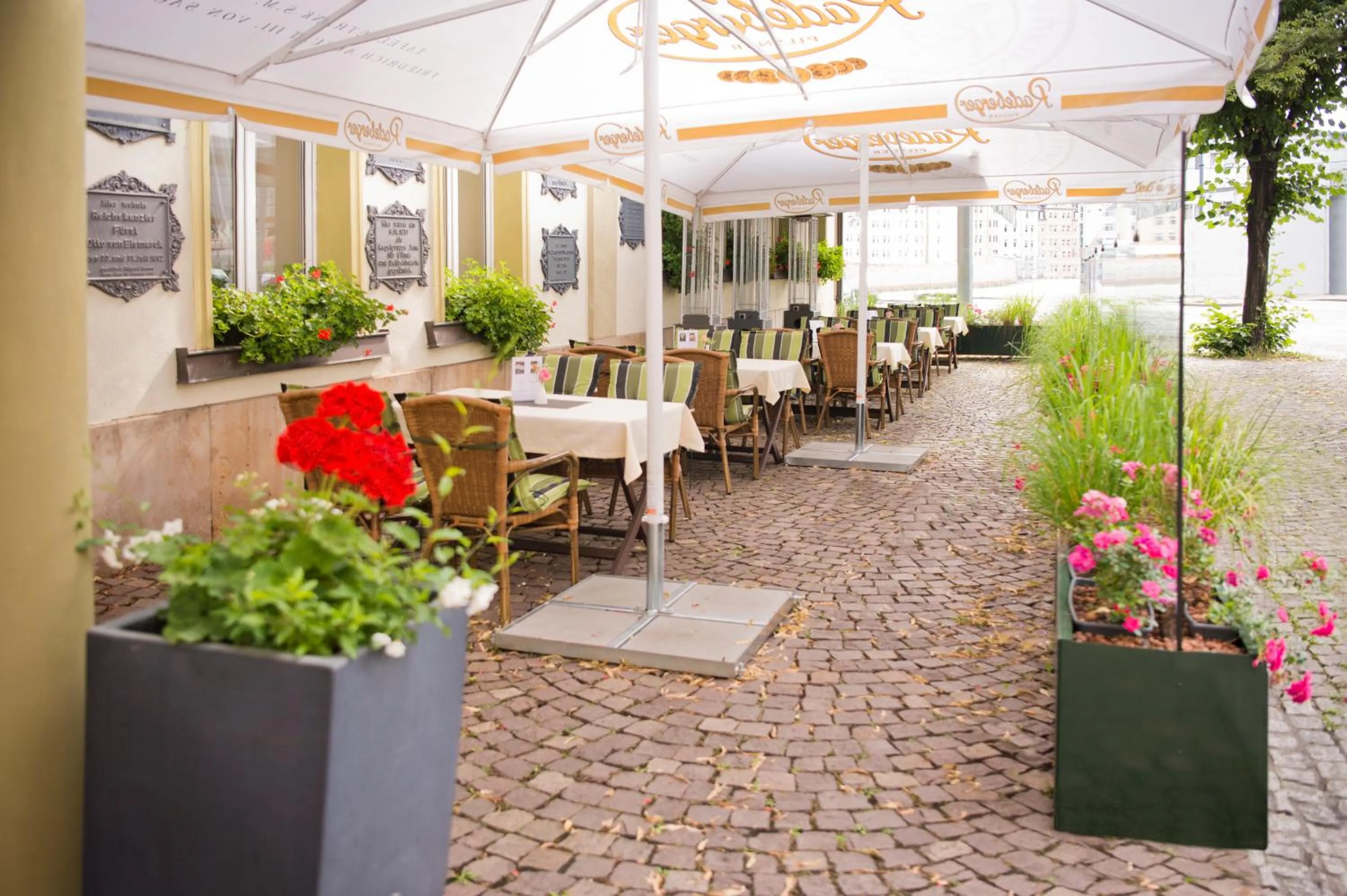 Restaurant/places to eat in Schwarzer Bär Jena