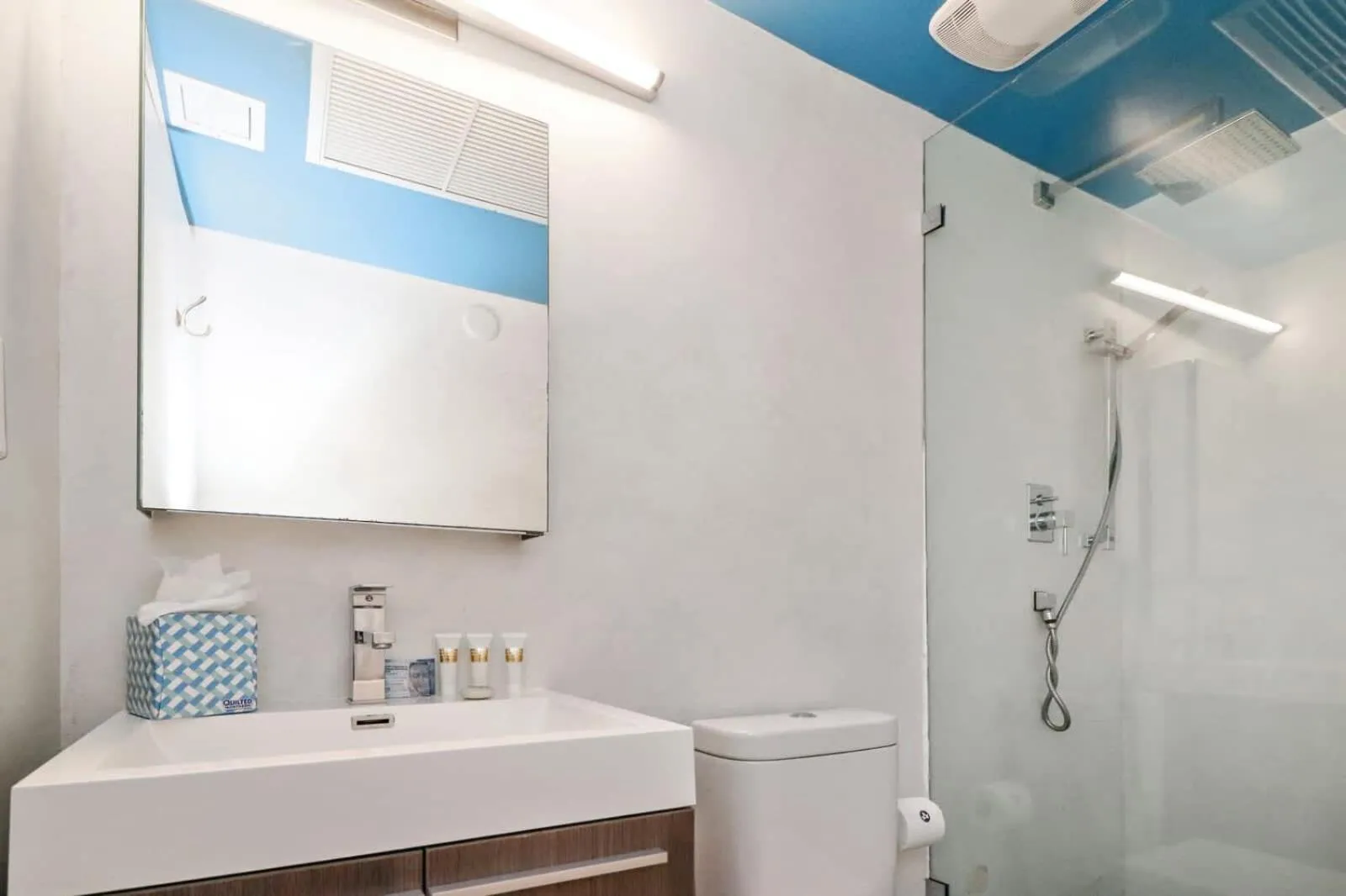 Roami at 250 Collins