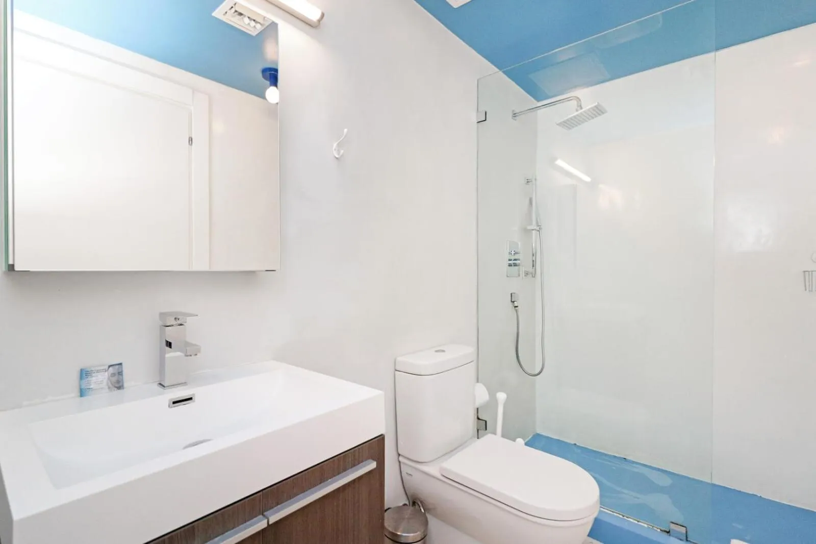 Roami at 250 Collins