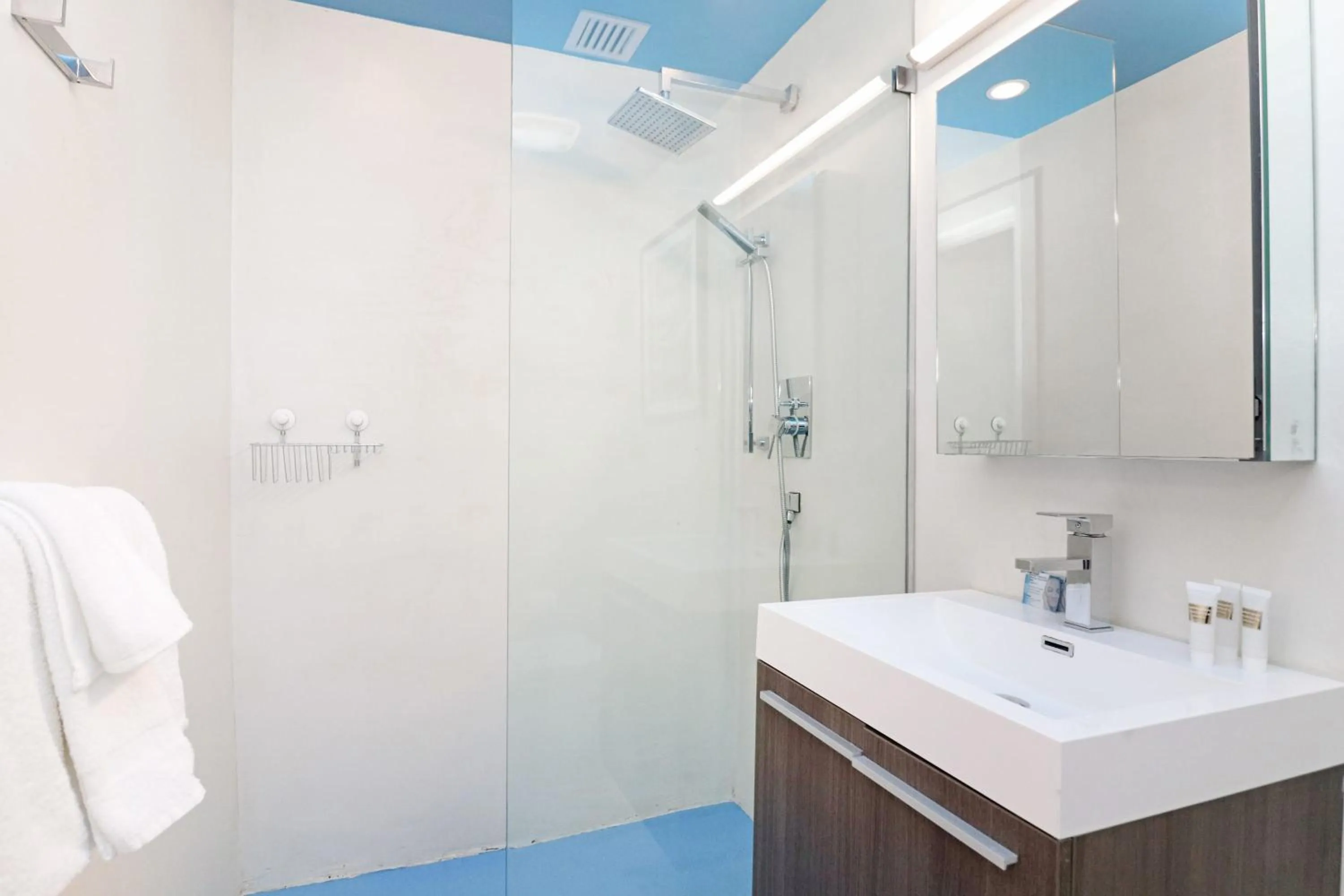 Roami at 250 Collins