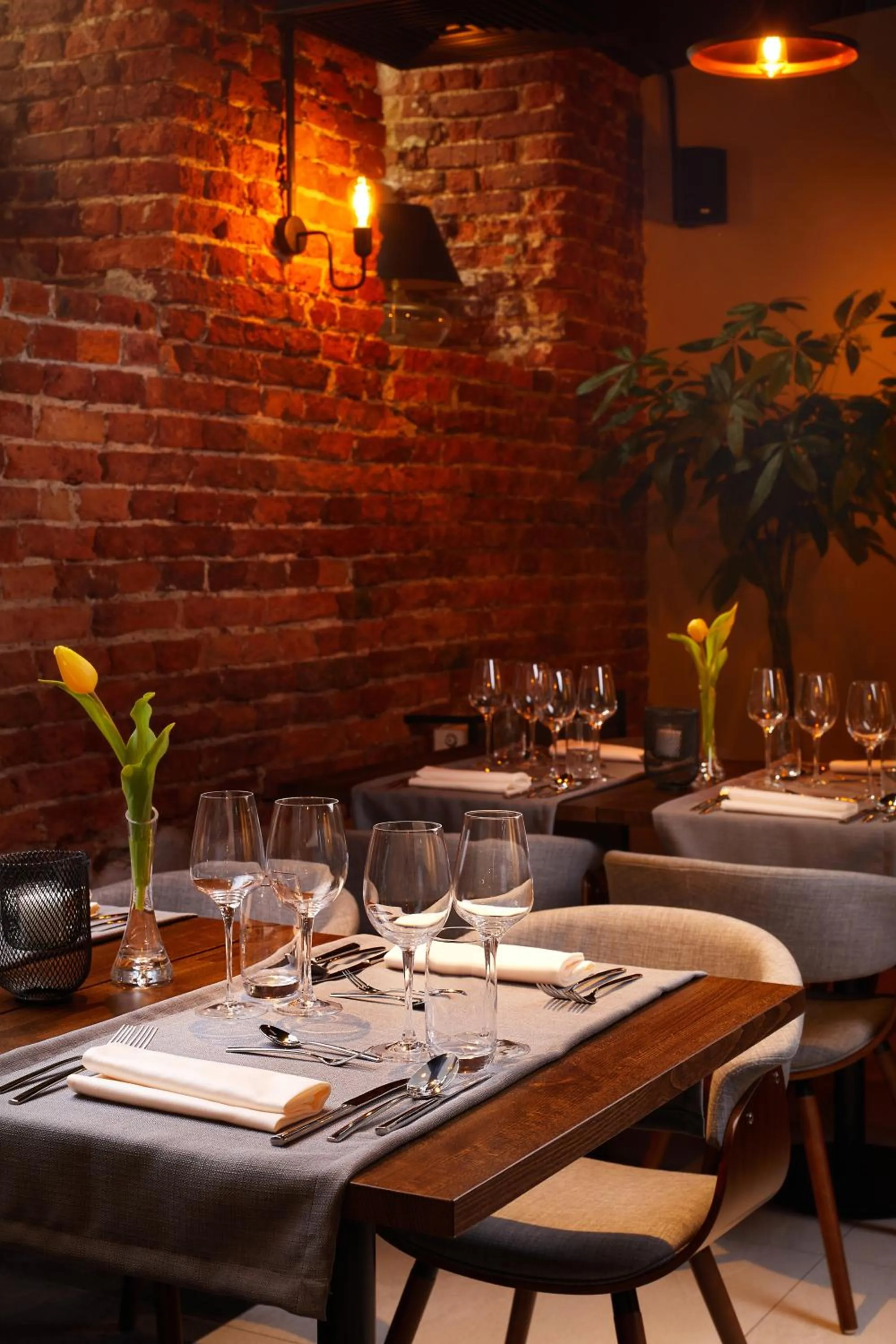 Restaurant/places to eat in Hotel Estera