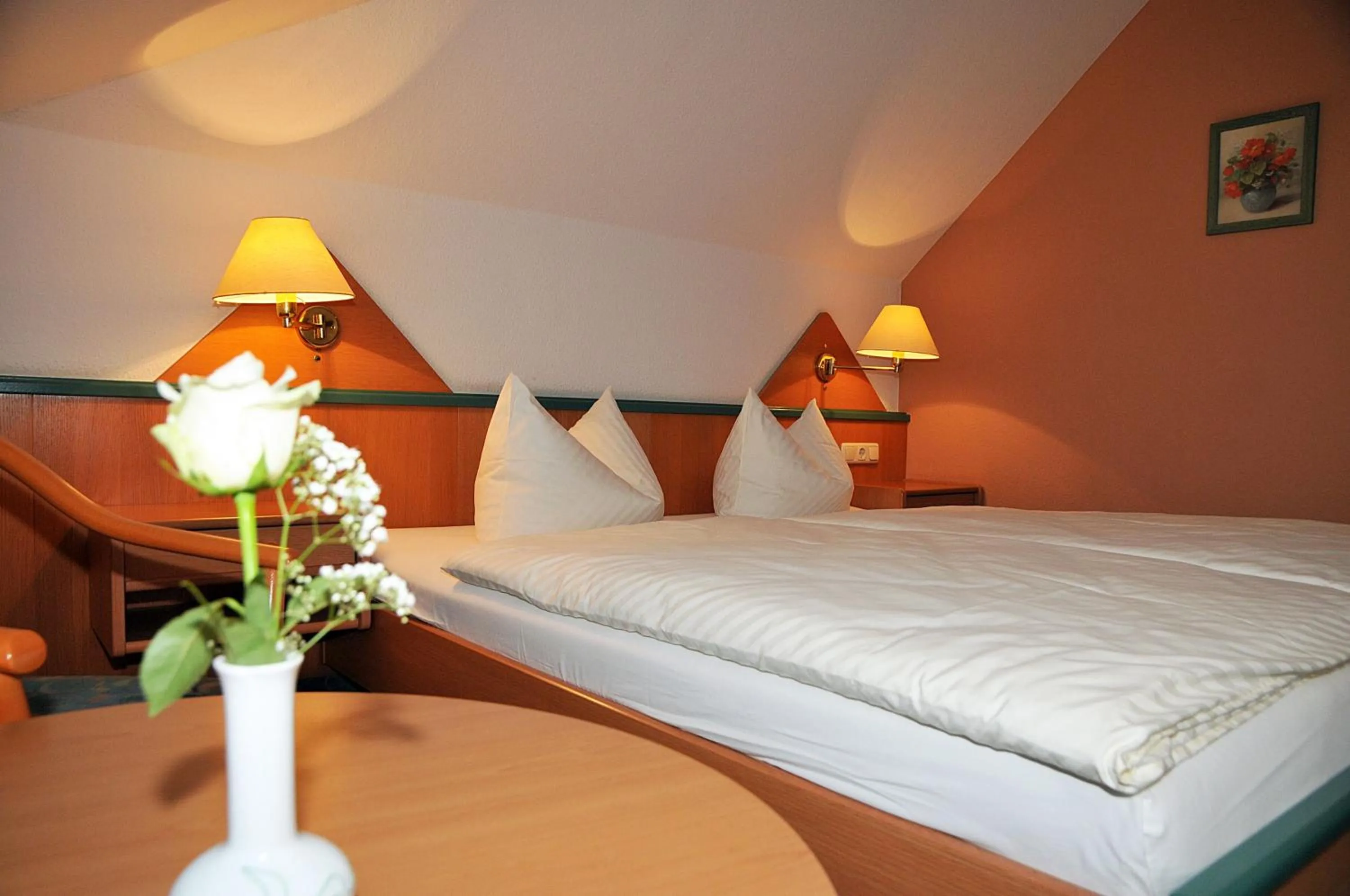 Photo of the whole room in Hotel Friesen