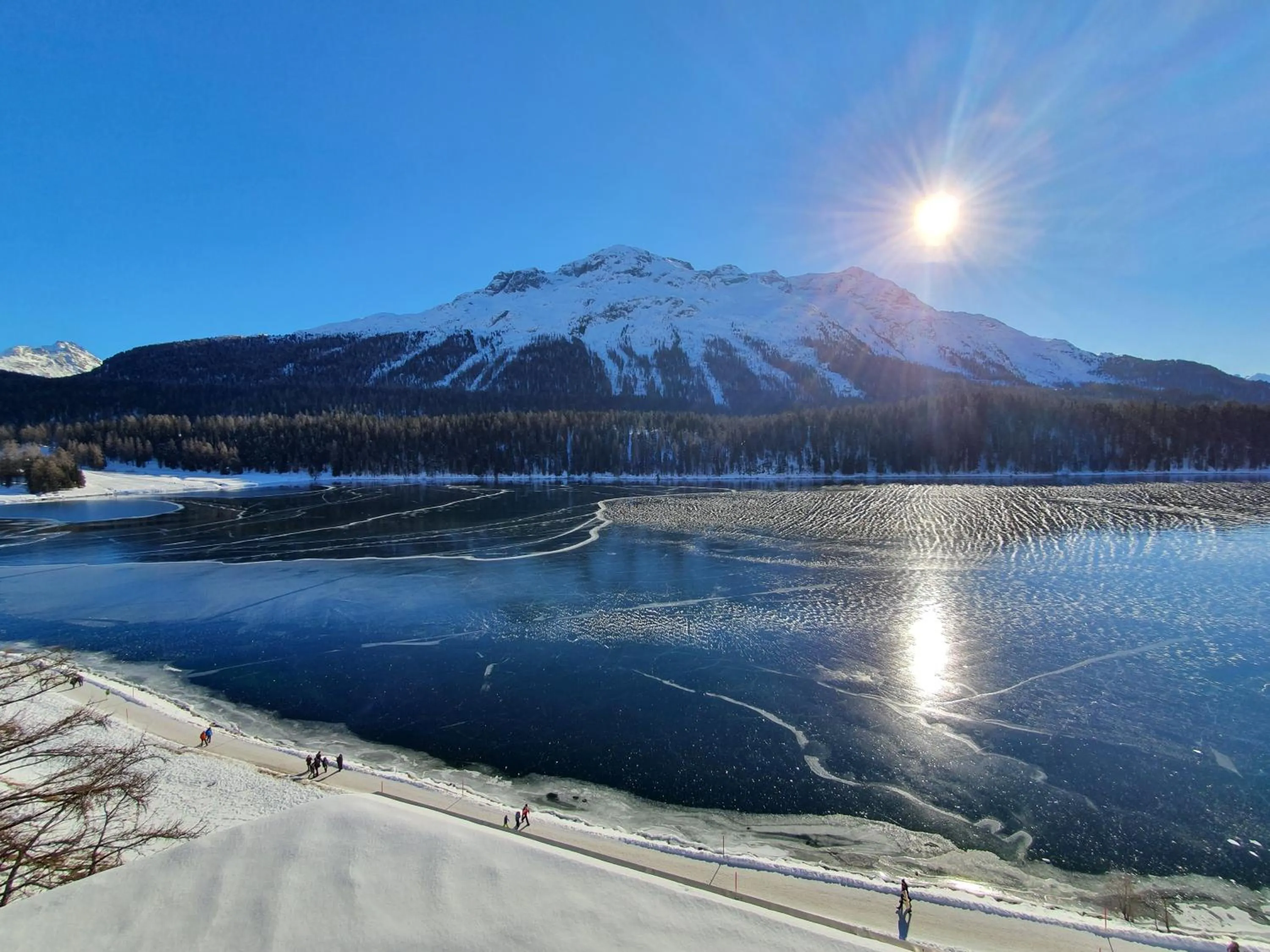 Natural landscape in Hotel Waldhaus am See