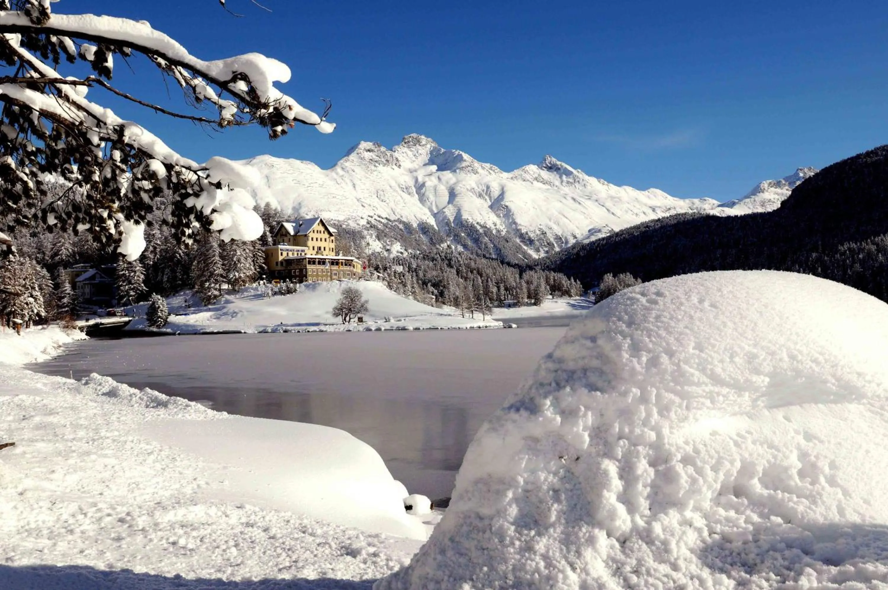 Area and facilities in Hotel Waldhaus am See