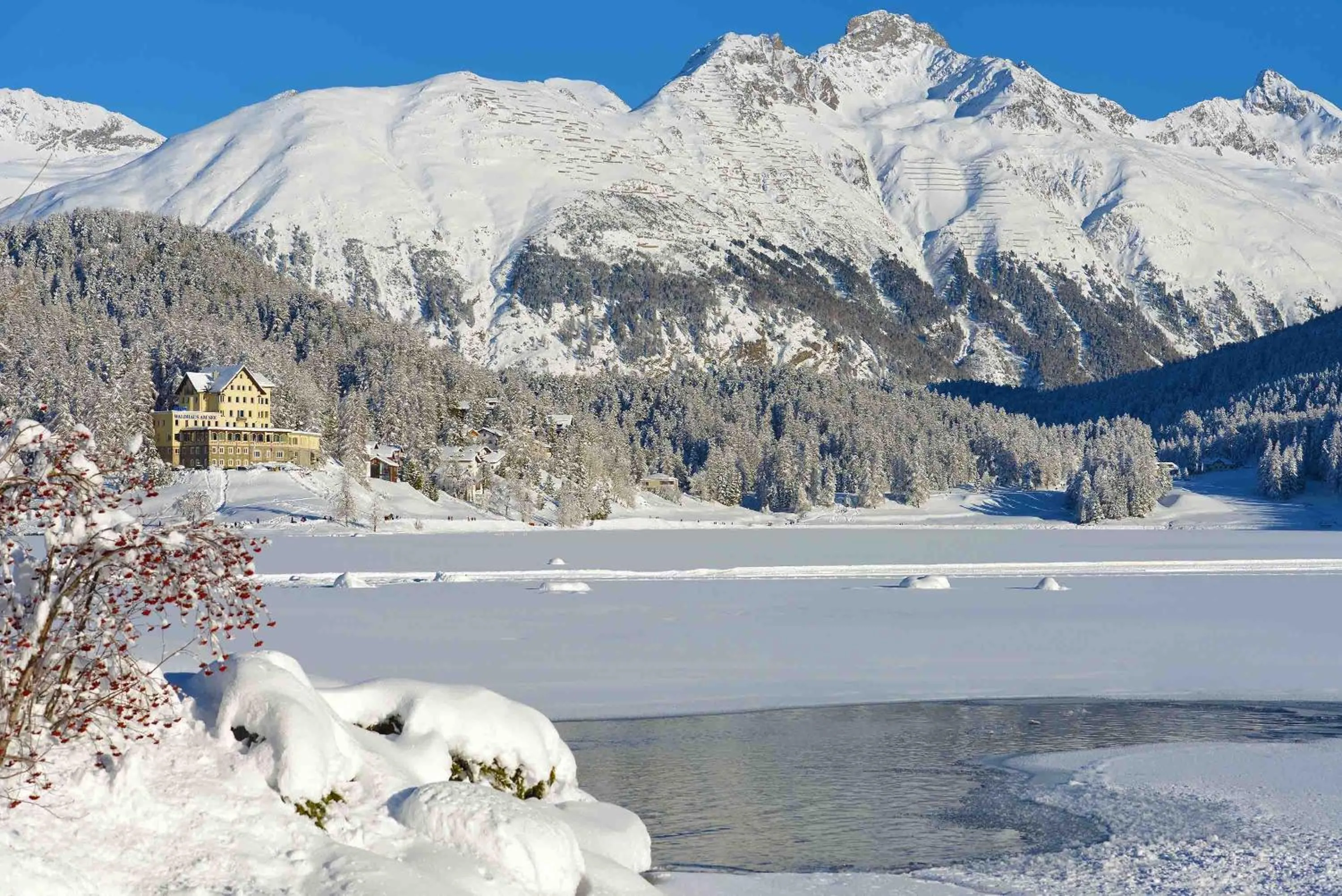 Area and facilities in Hotel Waldhaus am See