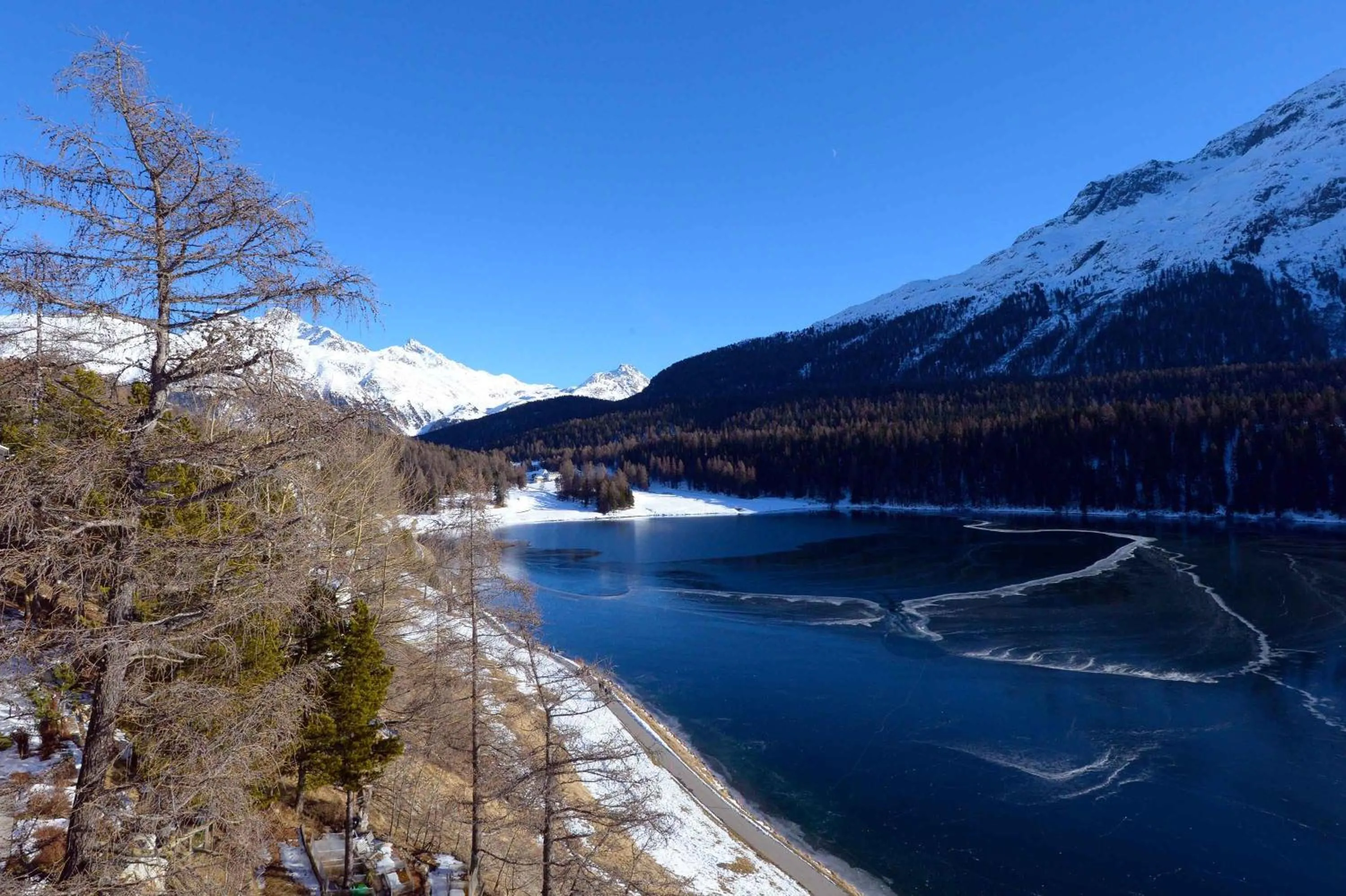 View (from property/room) in Hotel Waldhaus am See