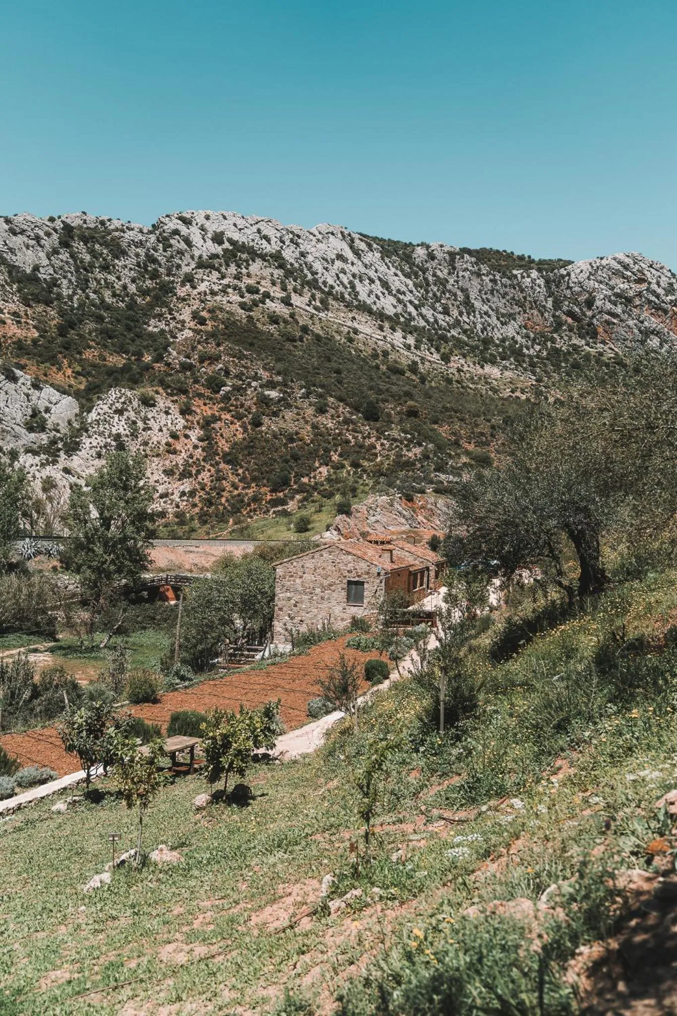 Natural landscape in Eco Hotel Cueva del Gato