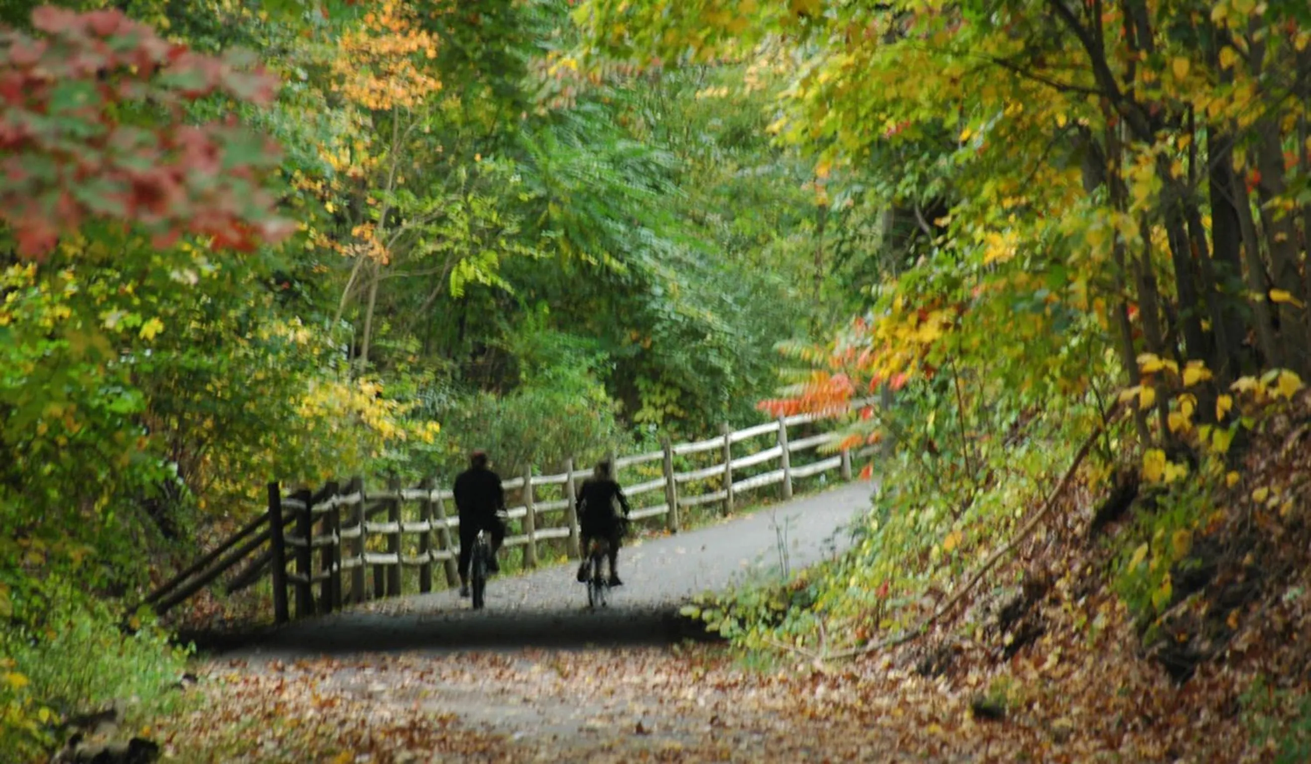 Cycling in The Trail in Adams - Berkshires' Art Hotel