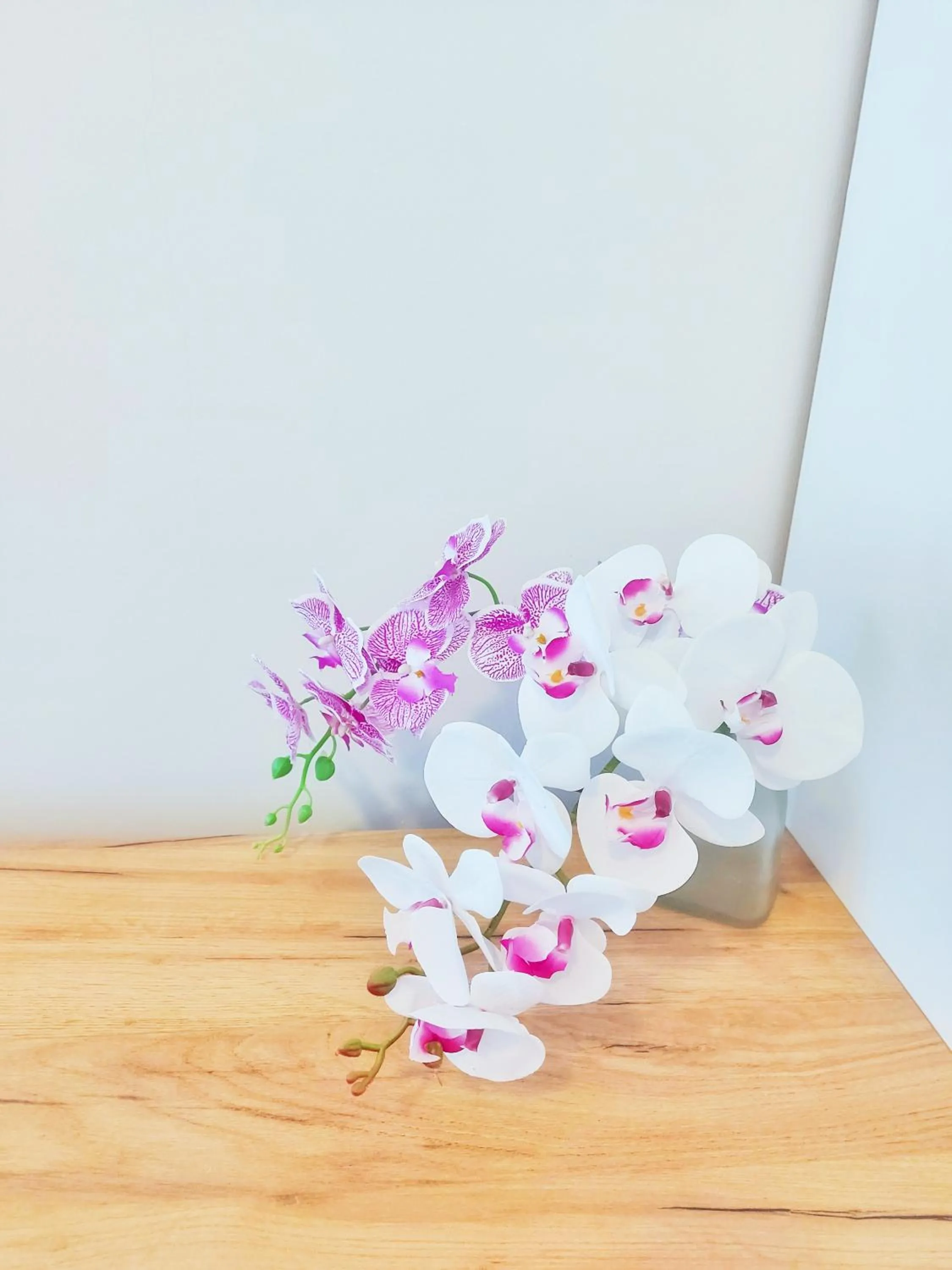 Bedroom in MAGENTA Apartments