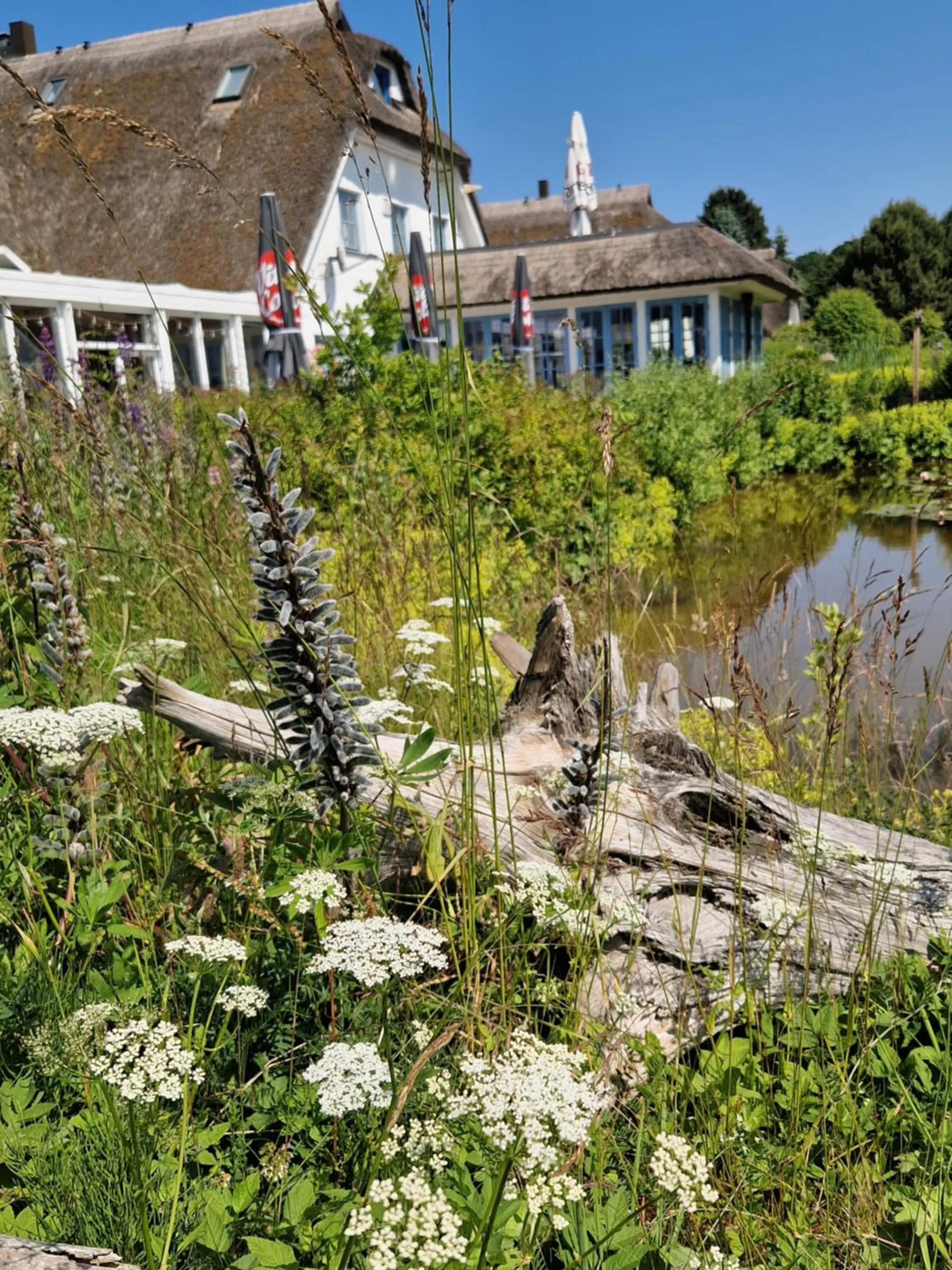 Garden view in Landhotel Kastanienallee Putbus