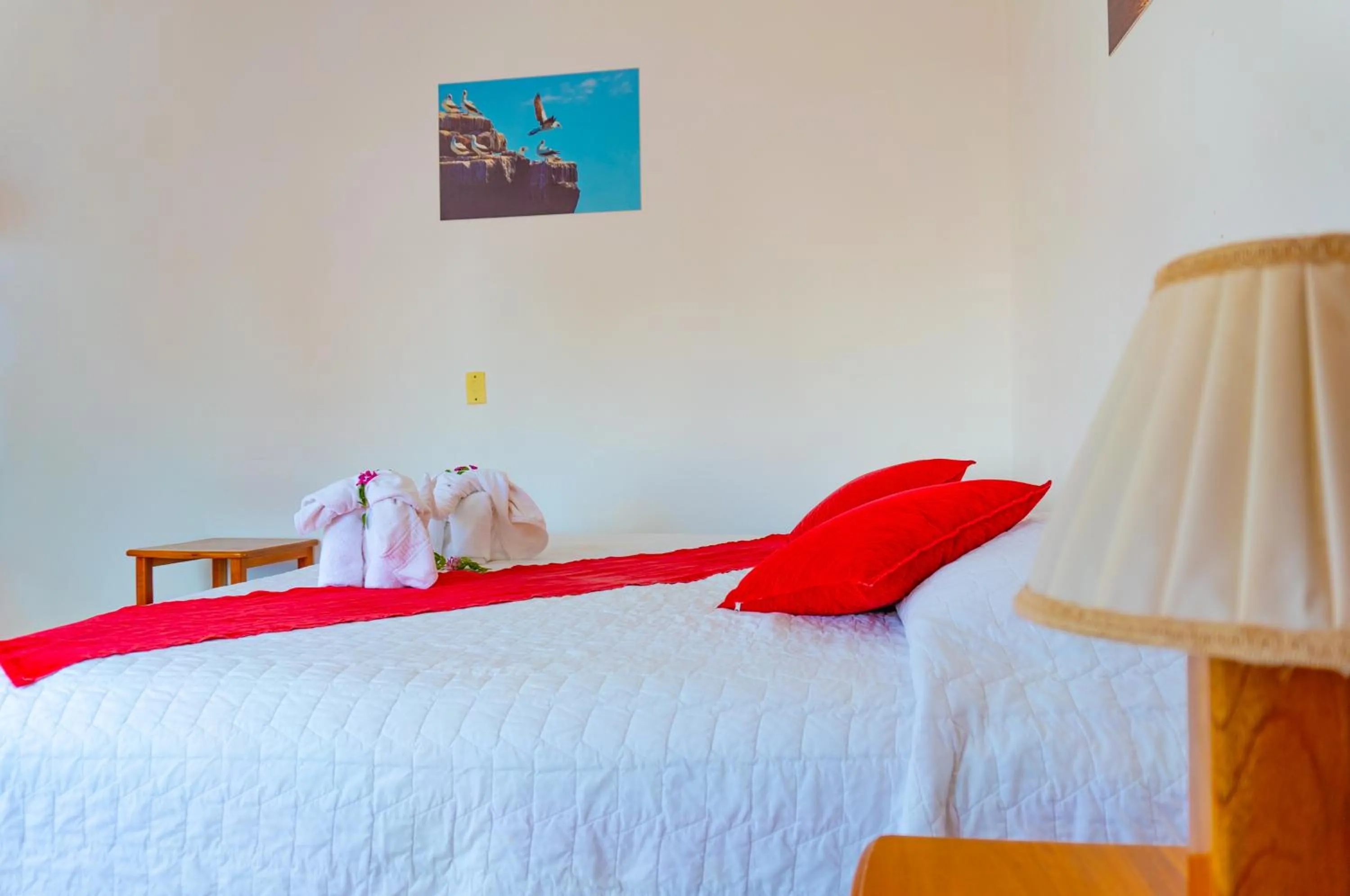 Bed in Gran Hostal Tintorera