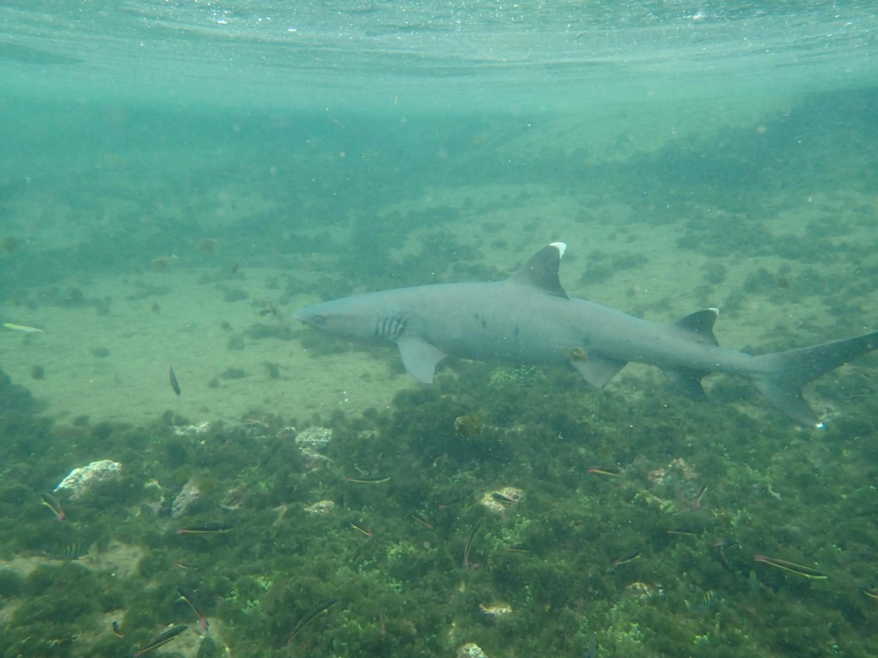 Natural landscape in Gran Hostal Tintorera