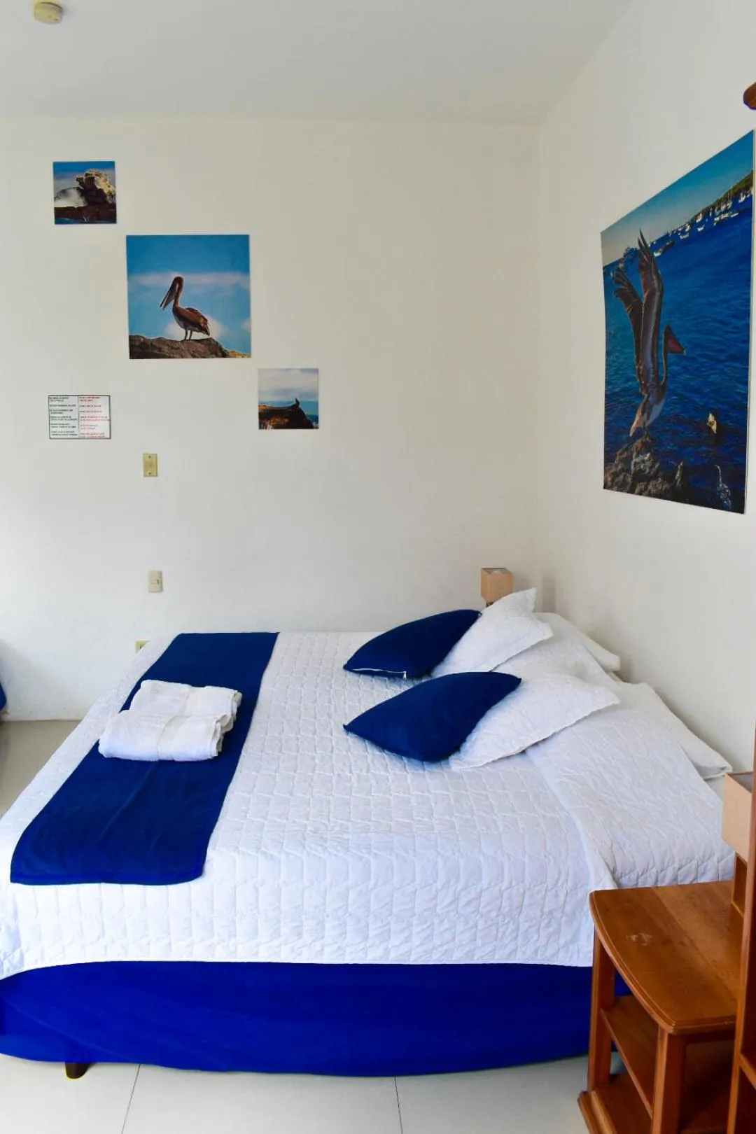 Bed in Gran Hostal Tintorera