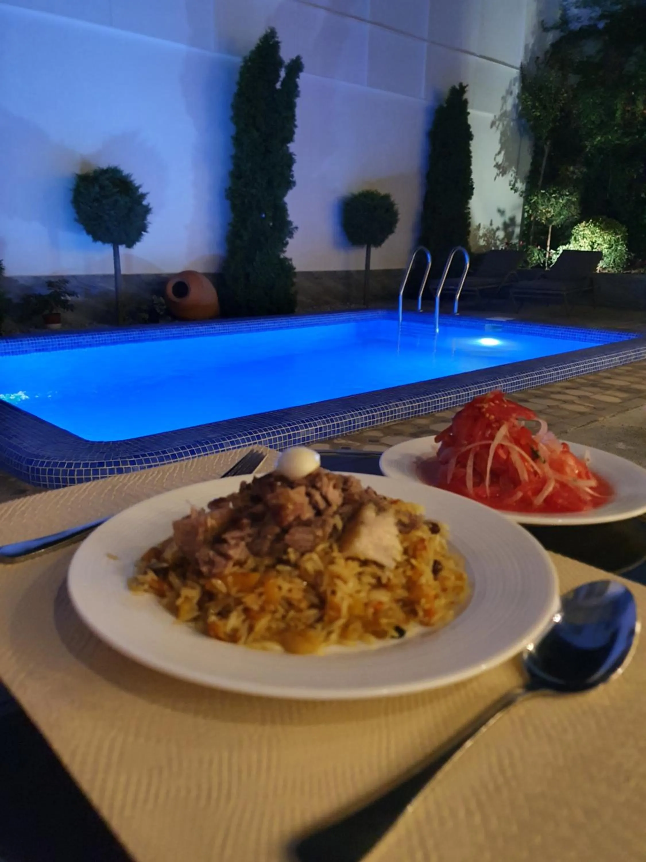 Swimming pool in Guest house TWINS