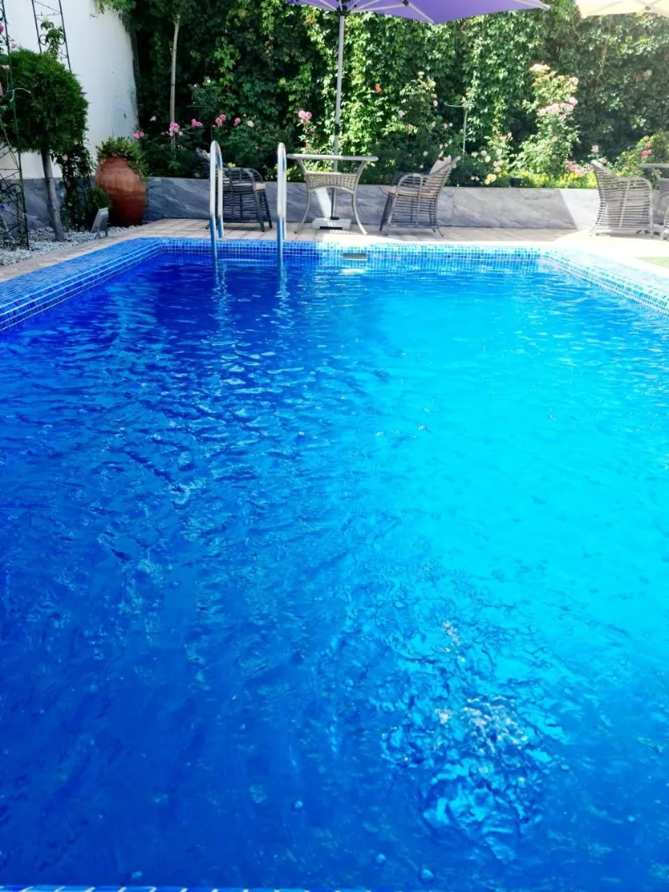 Swimming pool in Guest house TWINS
