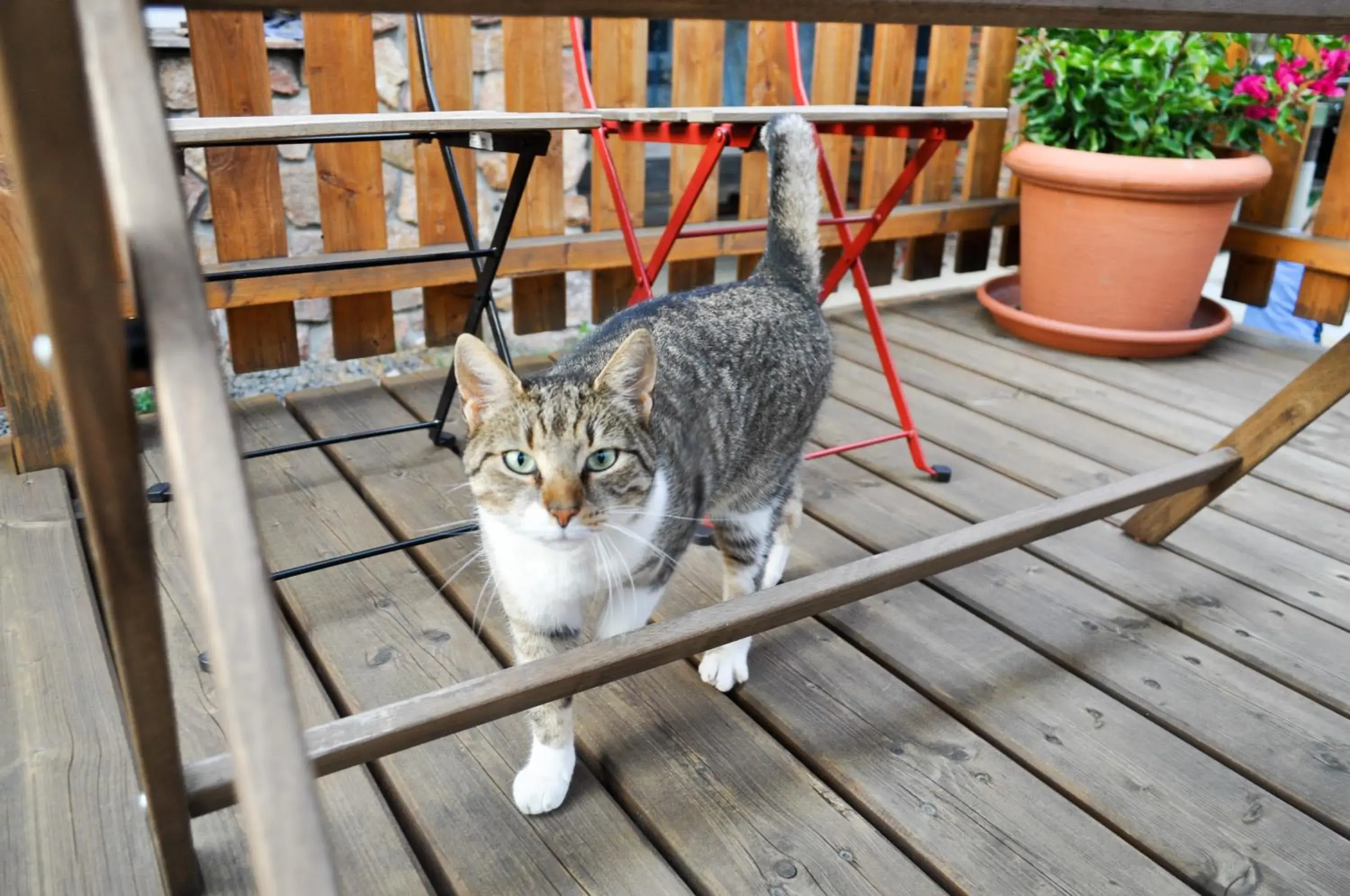 Deluxe Double Room with Shower in Jáchymoff Deluxe Double Room with Shower in Jáchymoff