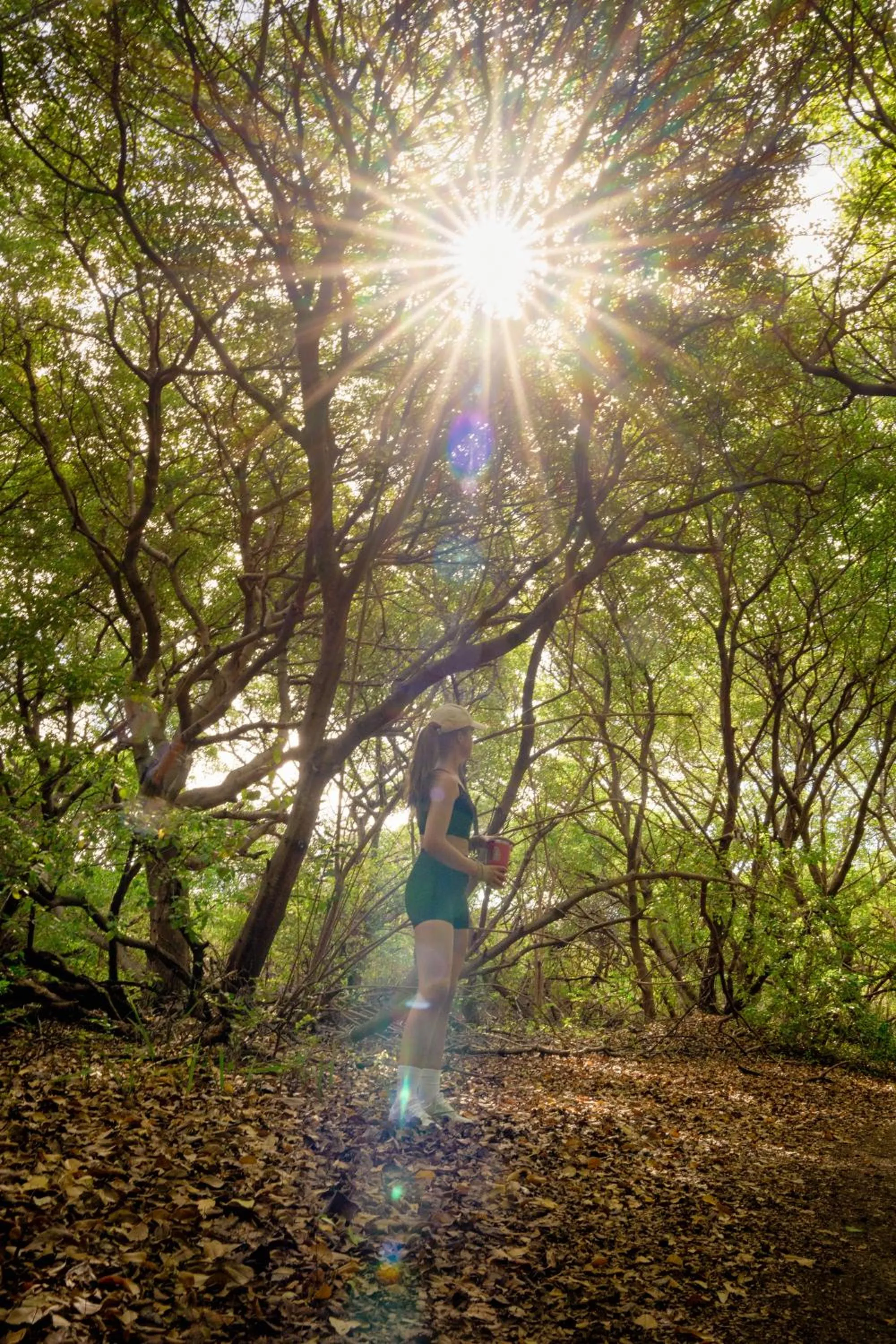 Neighbourhood in TUK Tropical Boutique Resort Jan Thiel