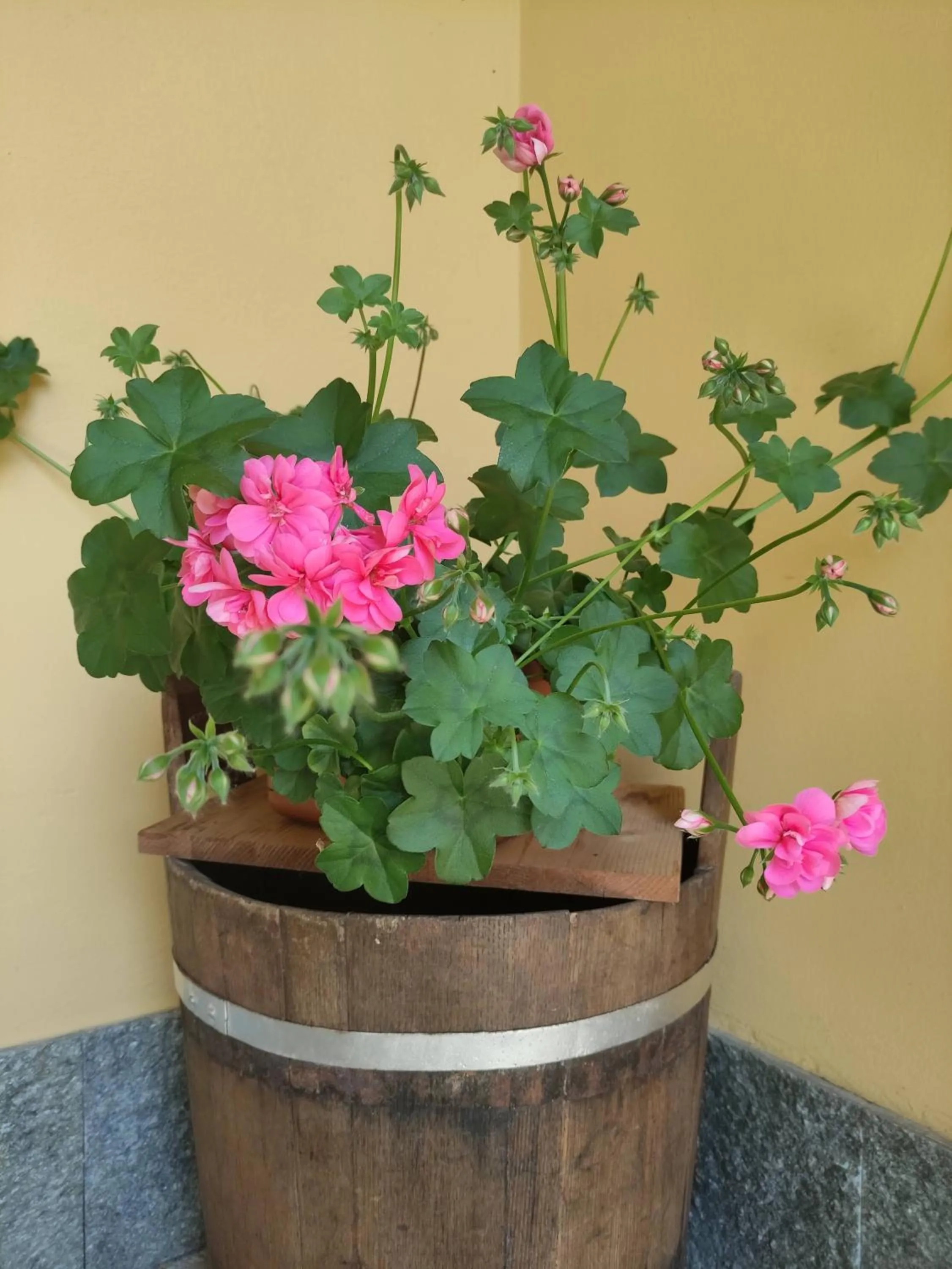 Property building in Bed&Breakfast Villa Camilla