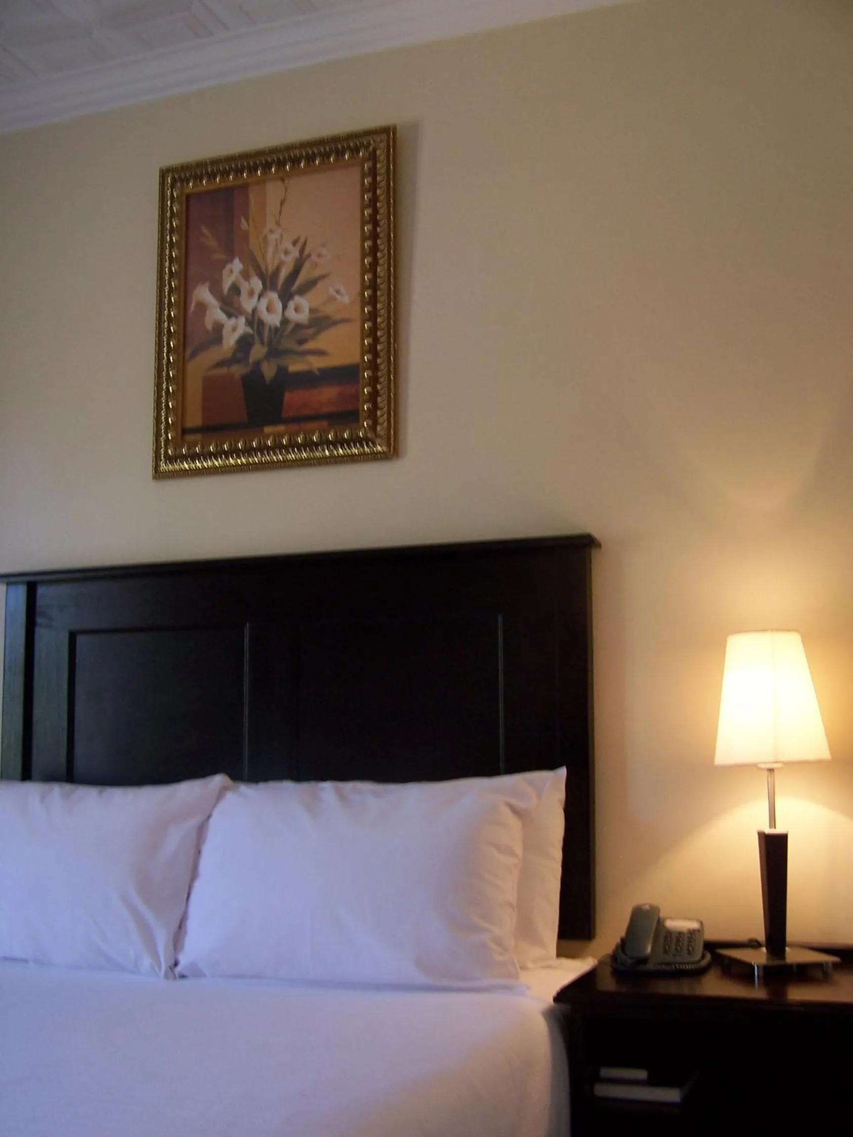 Bed in Regal Inn PMBurg