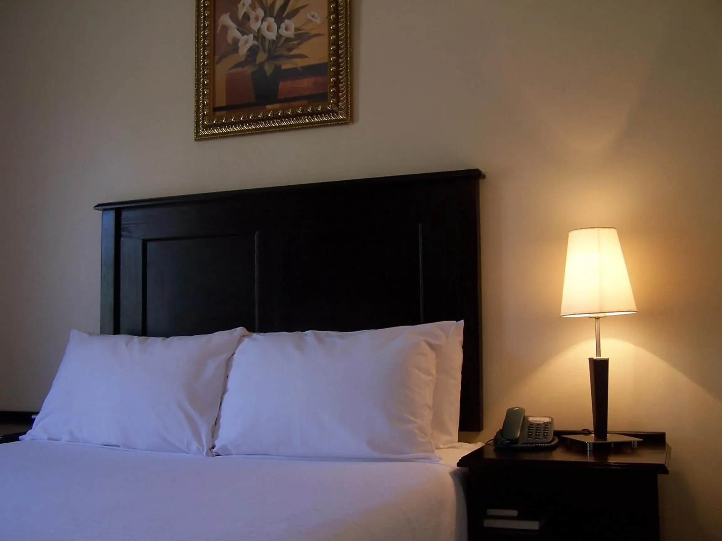 Double Room in Regal Inn PMBurg Double Room in Regal Inn PMBurg