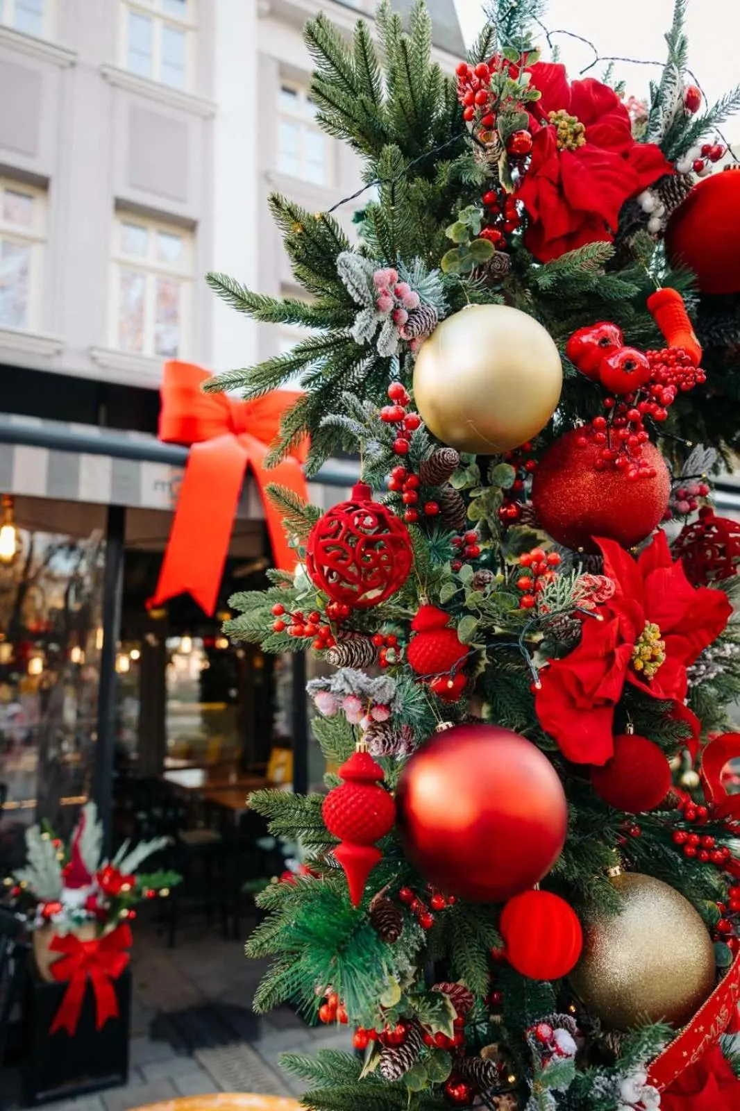 Restaurant/places to eat in Hotel Splendid