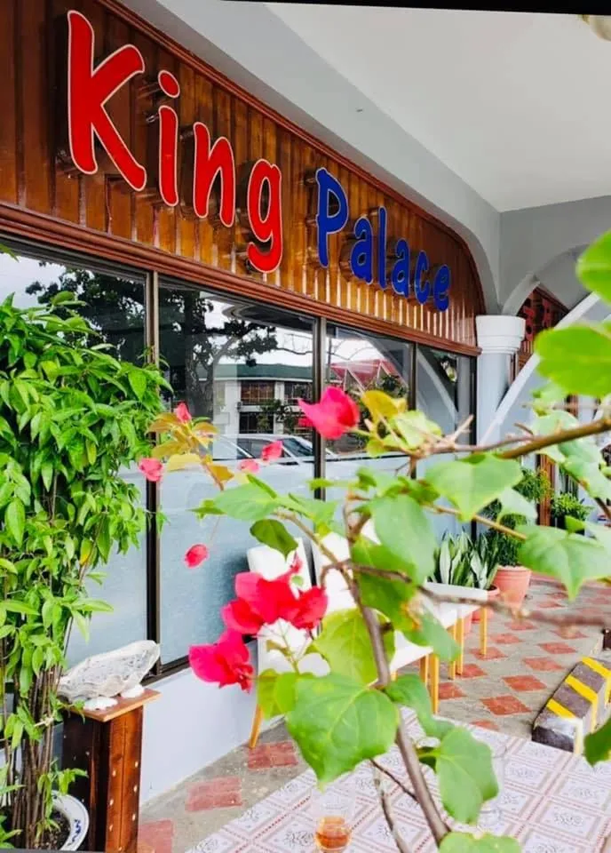 Palau Paradise Comfort