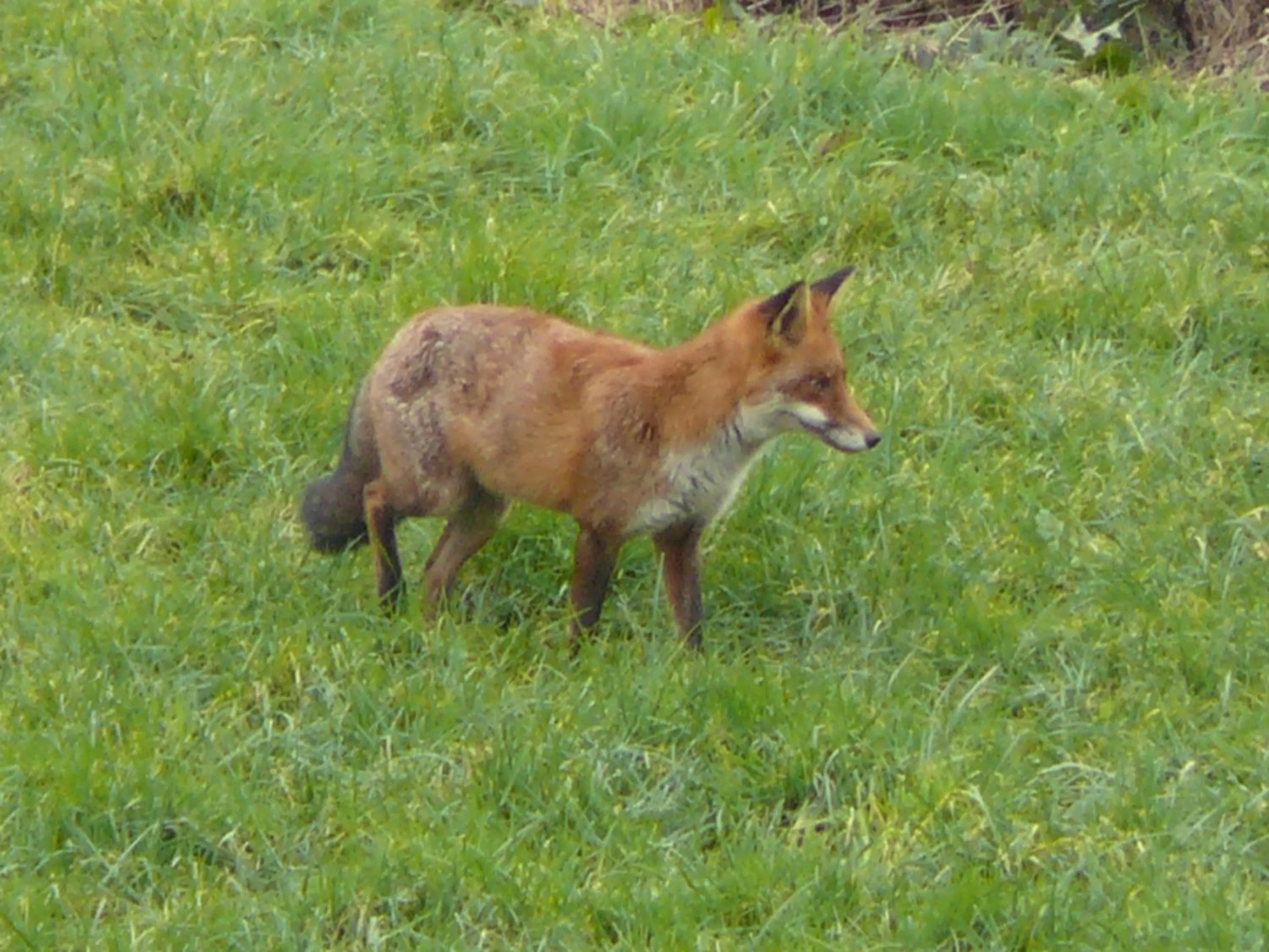 Natural landscape in The Motor House