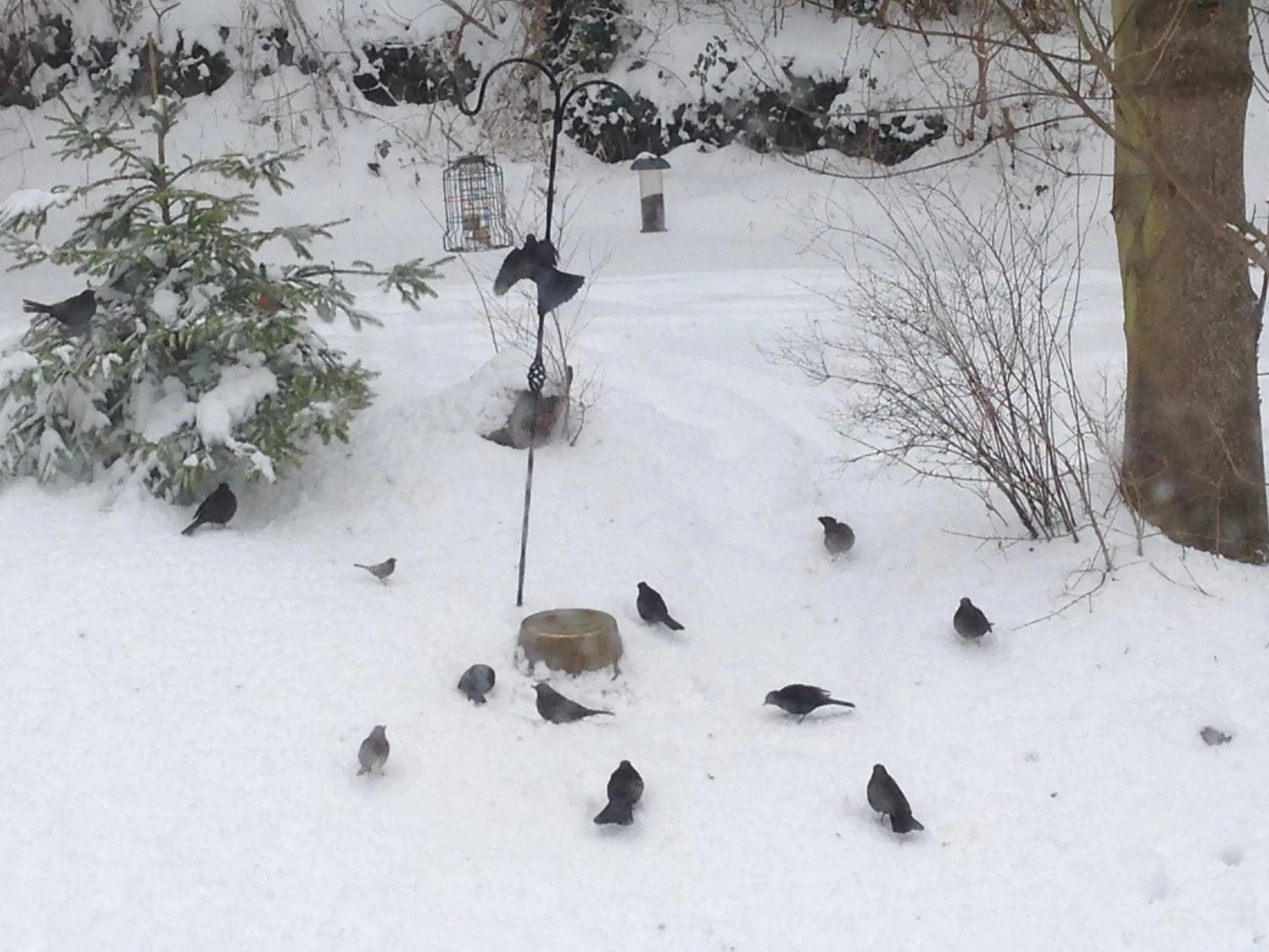 Property building in The Motor House