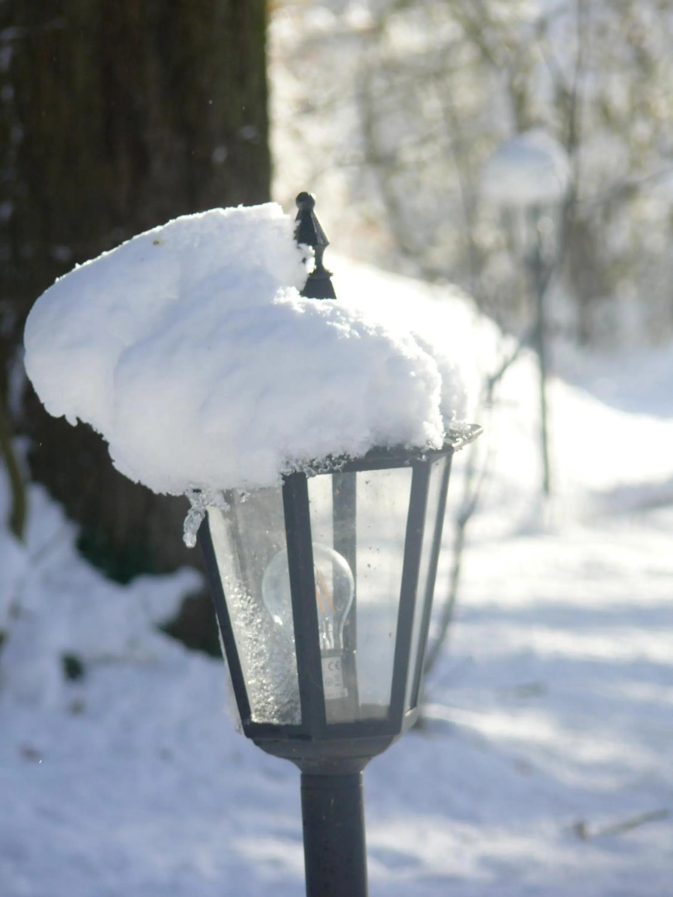 Property building in The Motor House