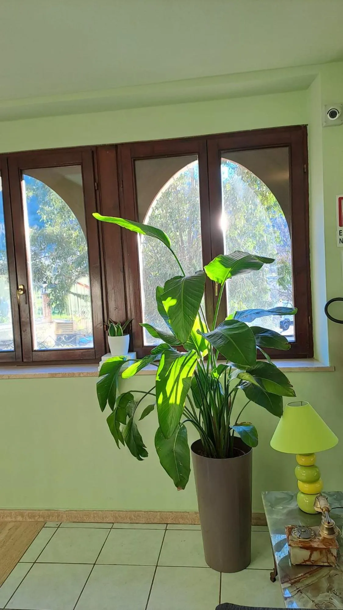 Living room in Hotel Lo Smeraldo