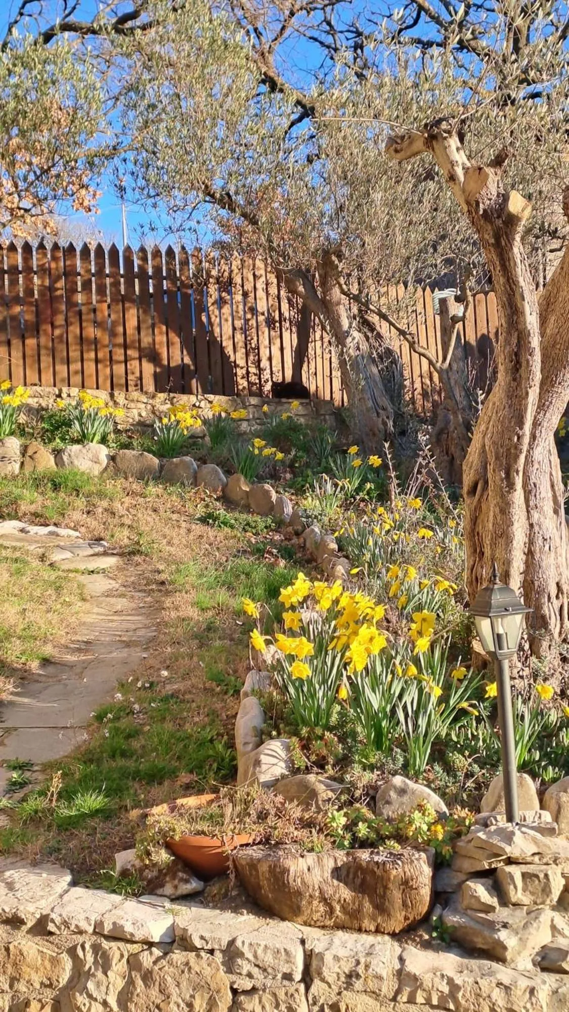 Property building in Hotel Lo Smeraldo