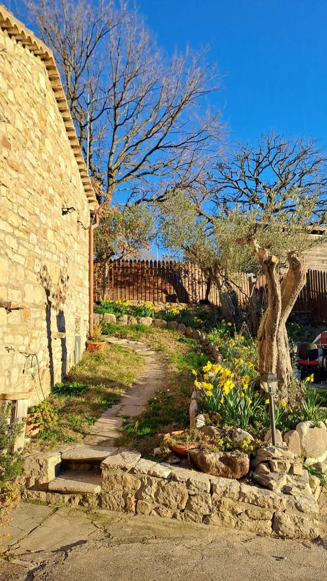 Natural landscape in Hotel Lo Smeraldo