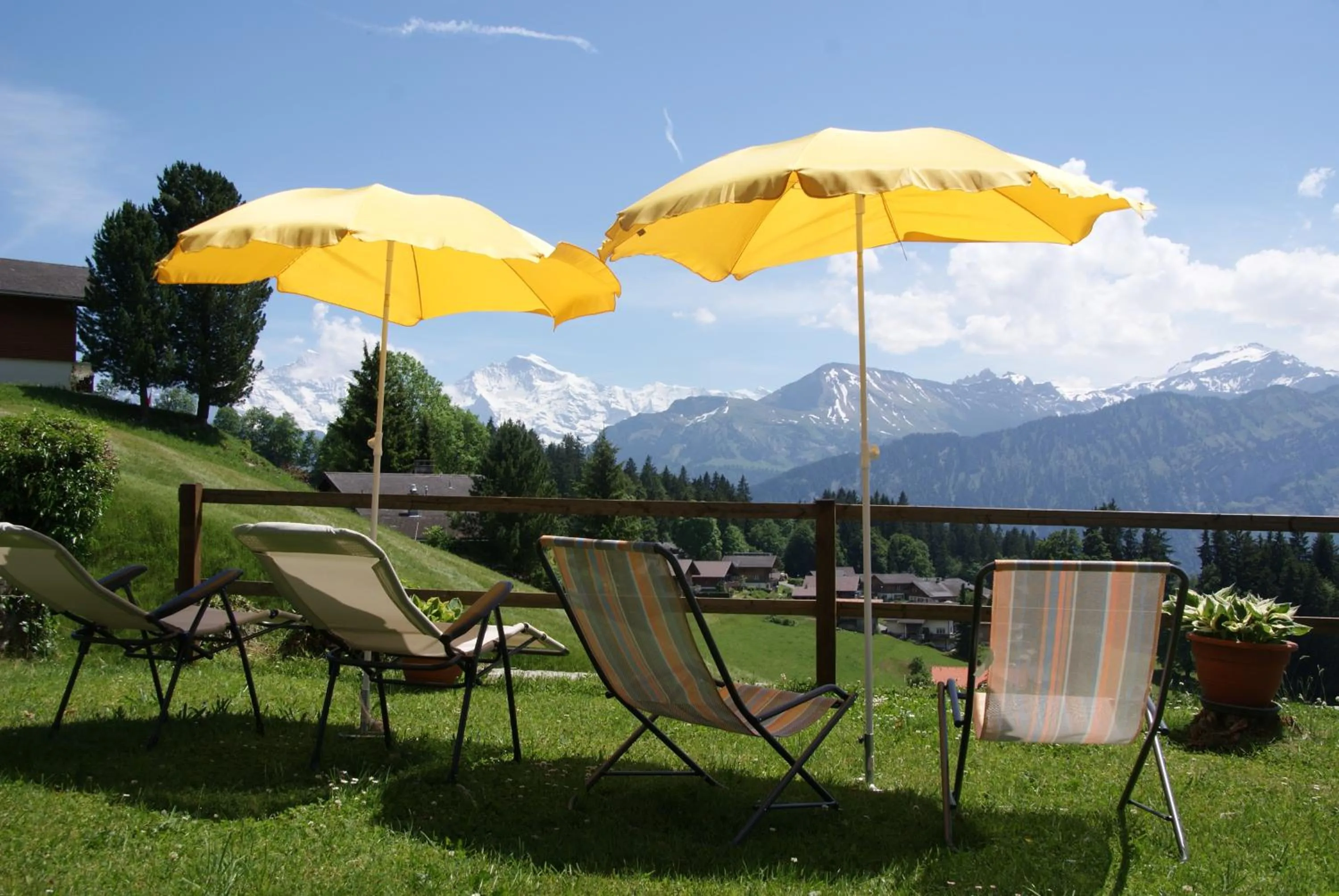 Garden in Hotel Fassbind Beausite