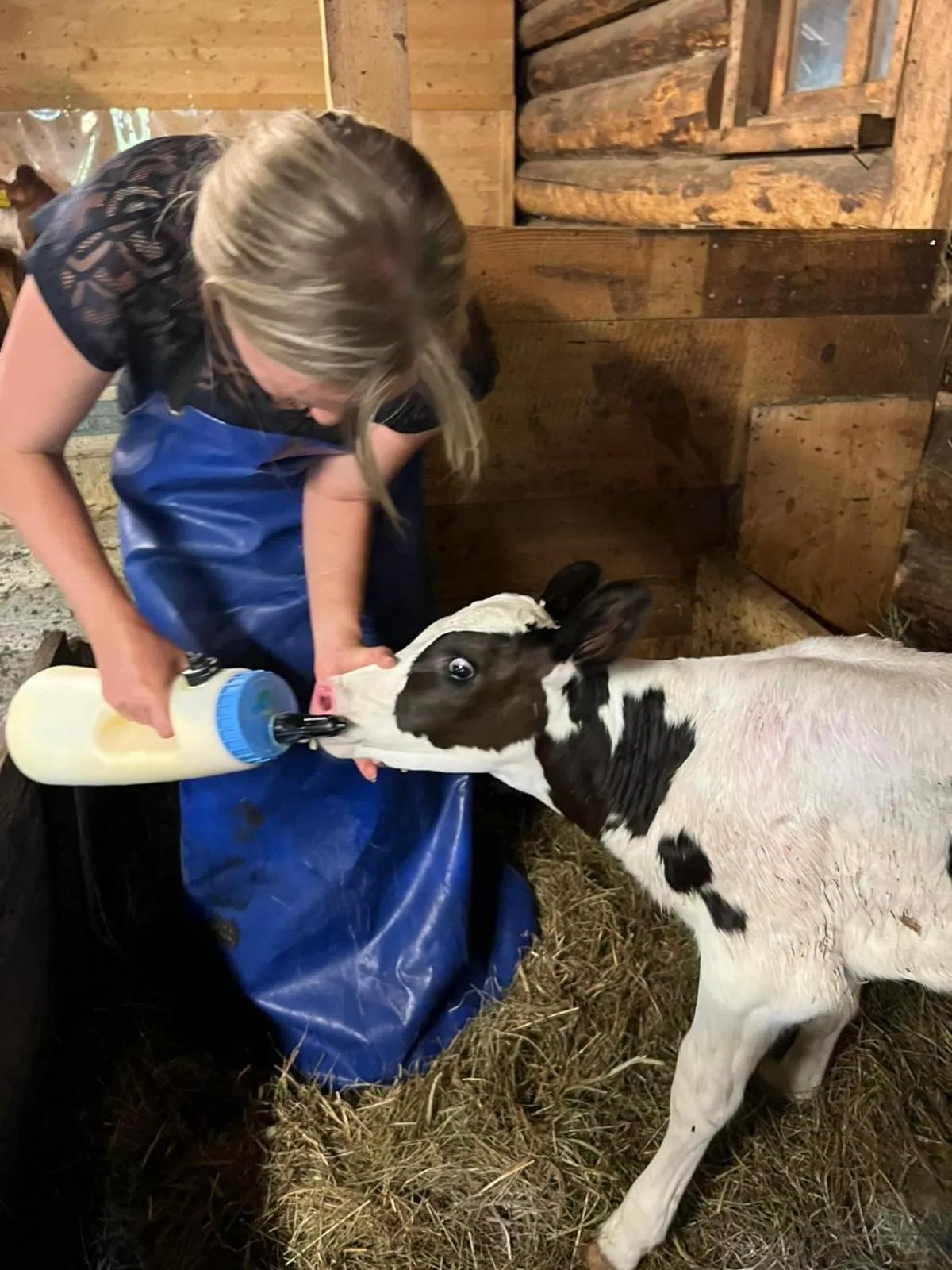 Animals in Hotel Fassbind Beausite