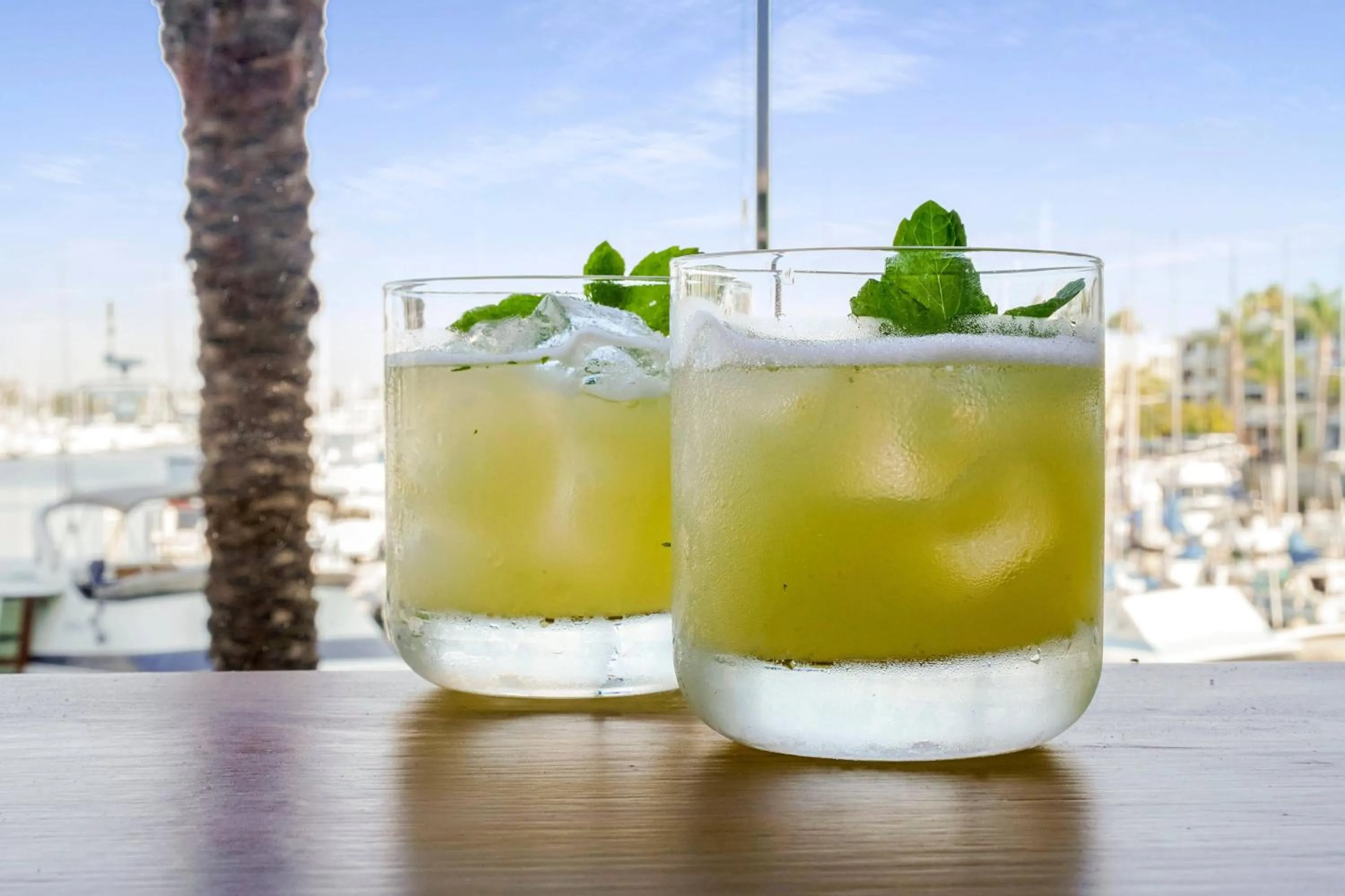 Lounge or bar in Courtyard by Marriott Marina del Rey