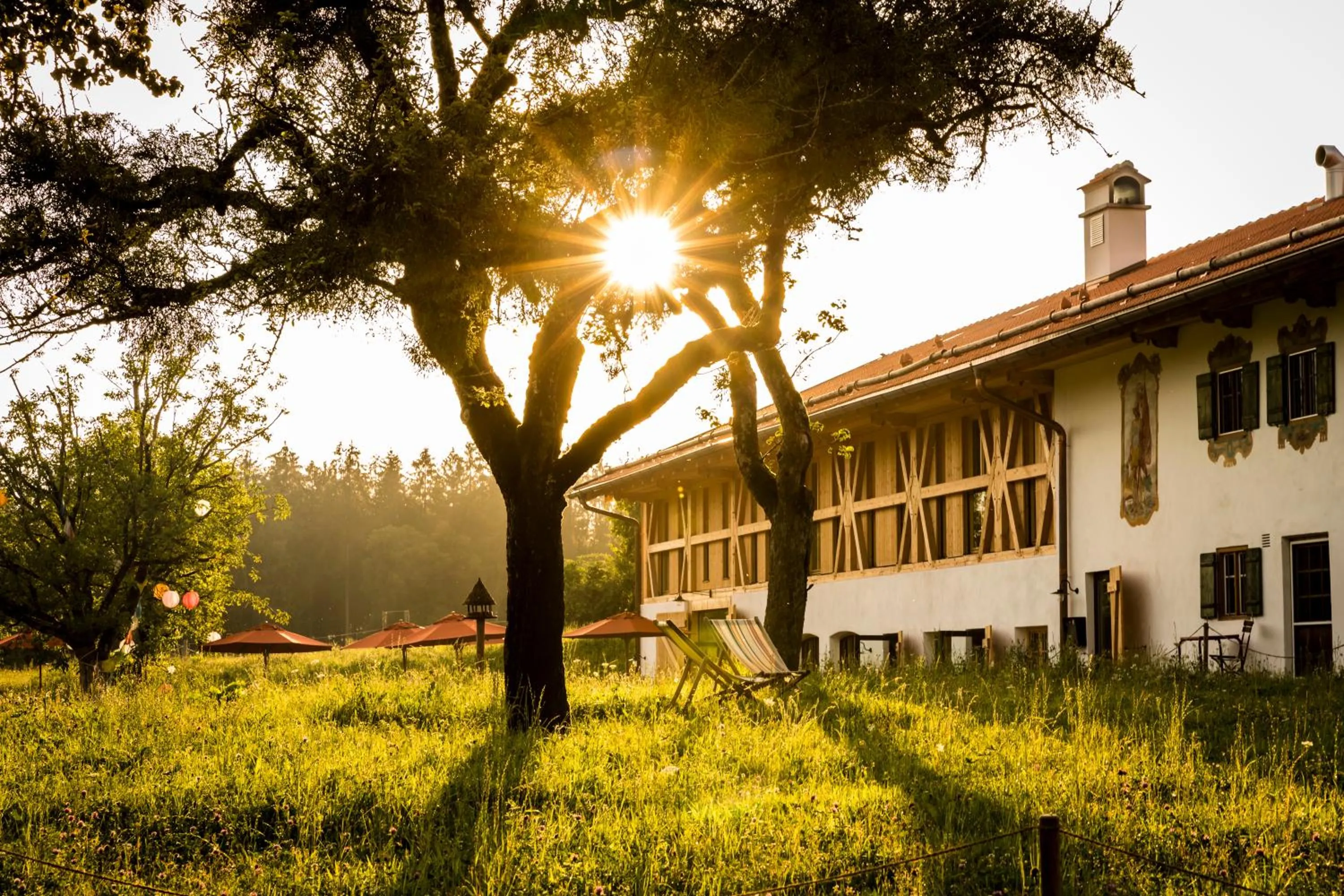 Facade/entrance in Gut Sonnenhausen