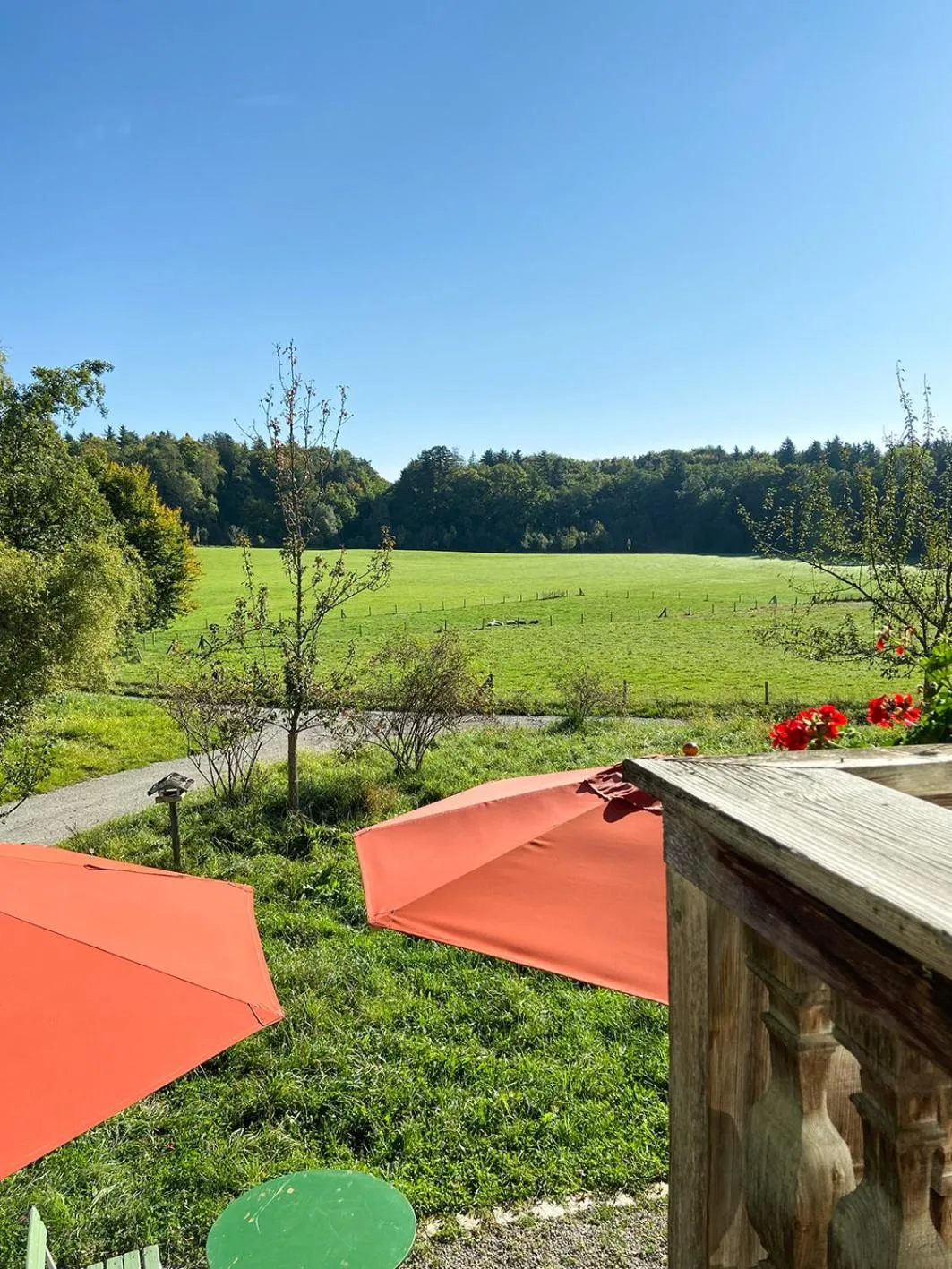 View (from property/room) in Gut Sonnenhausen