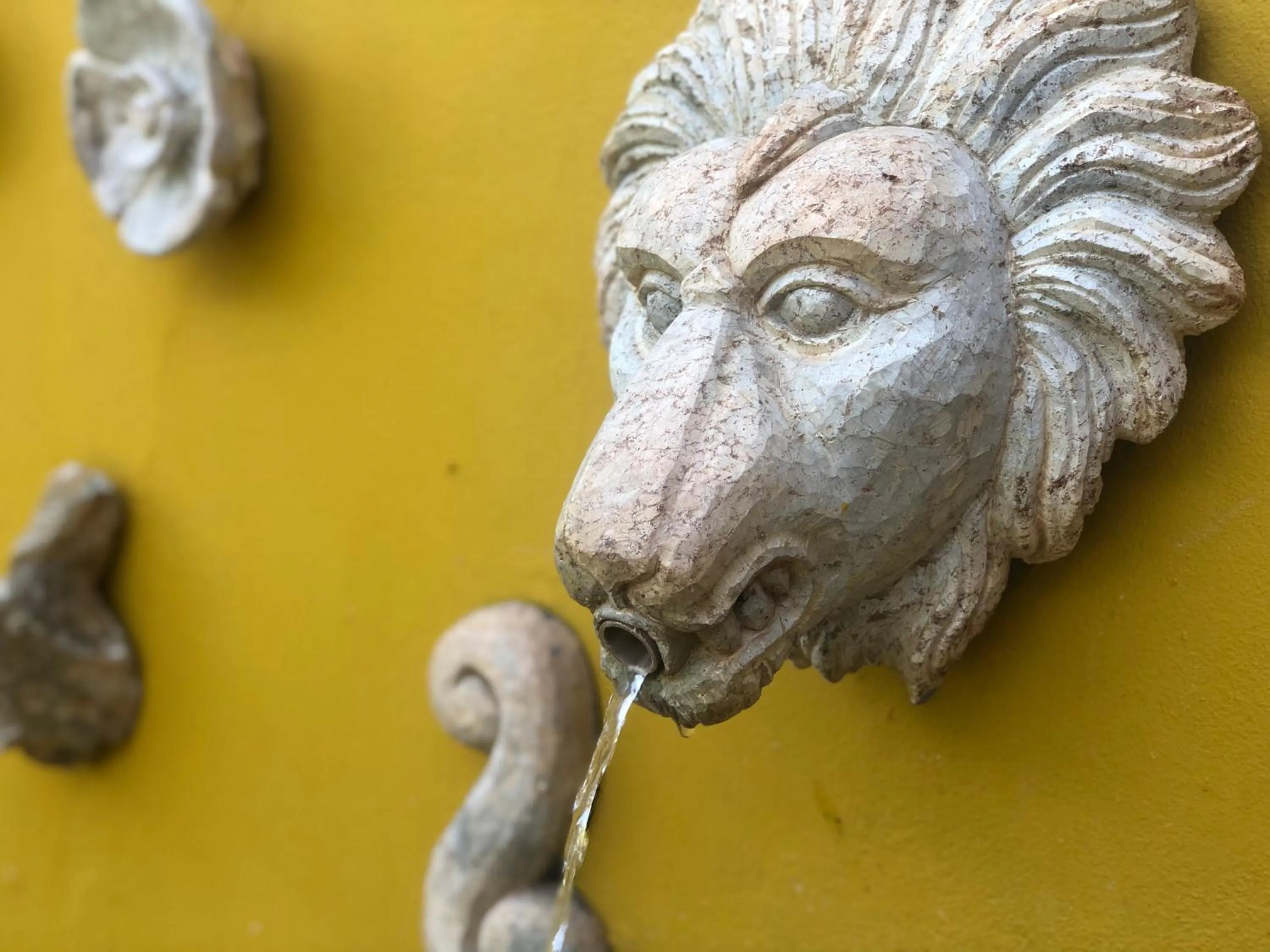 Property building in Pousada Maria Barbosa Tiradentes