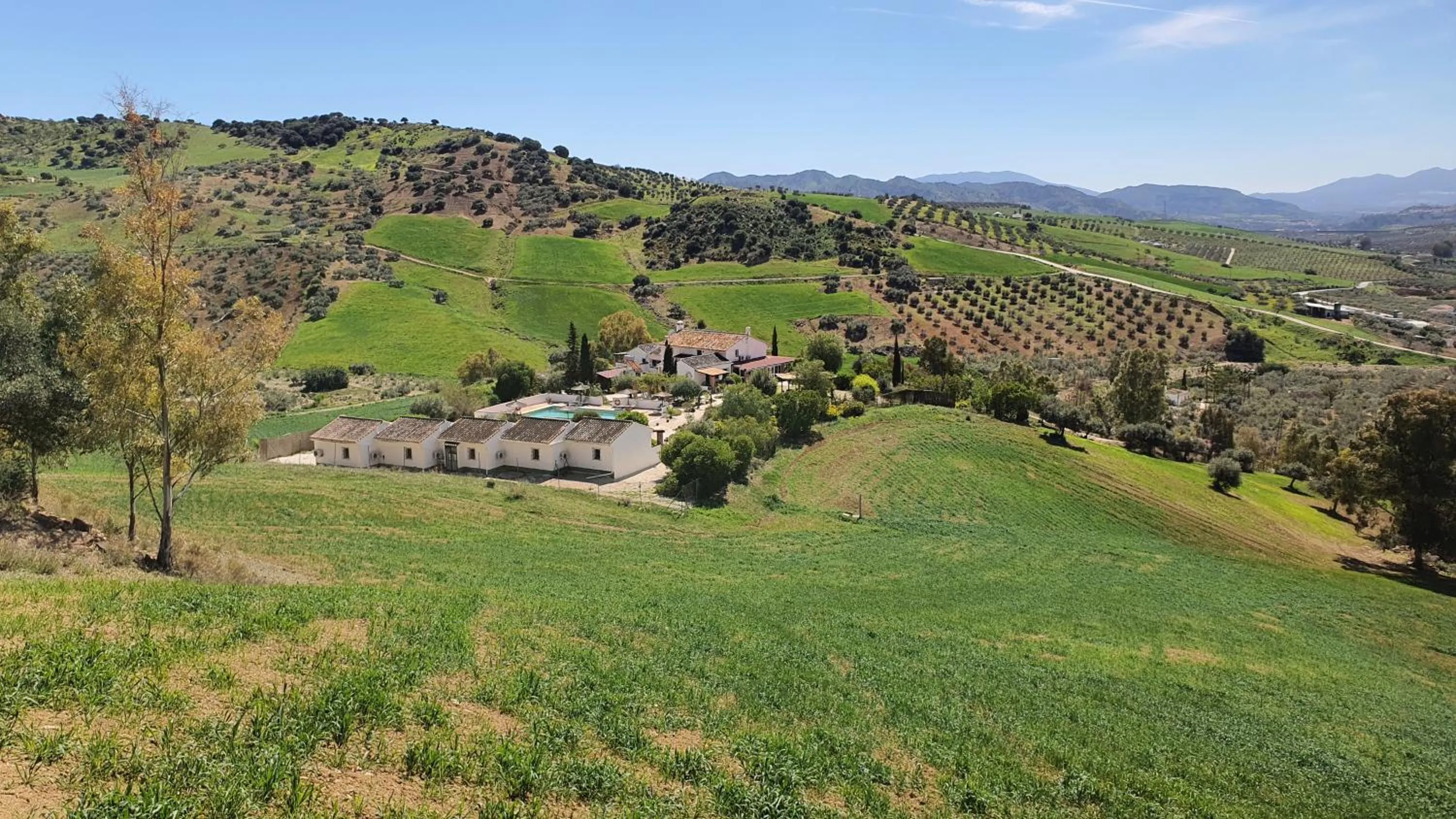 Day in Boutique B&B Cortijo Valverde Álora