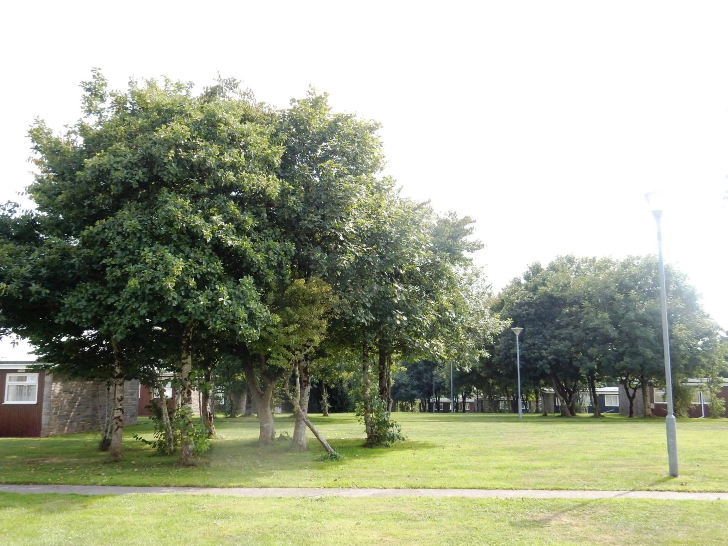 Garden in Sheena's Dartmouth Chalets