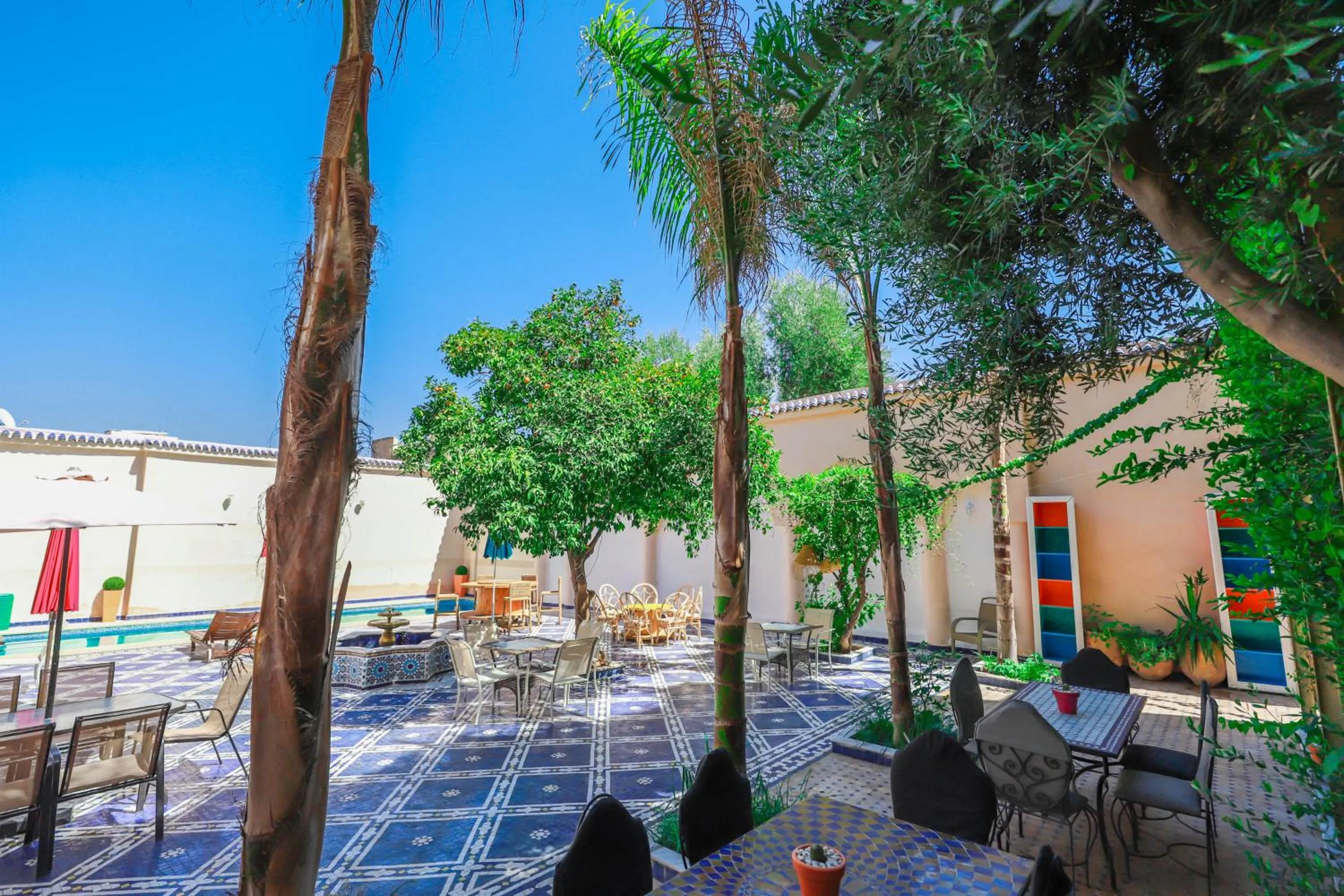 Garden in Palais Shazam & SPA