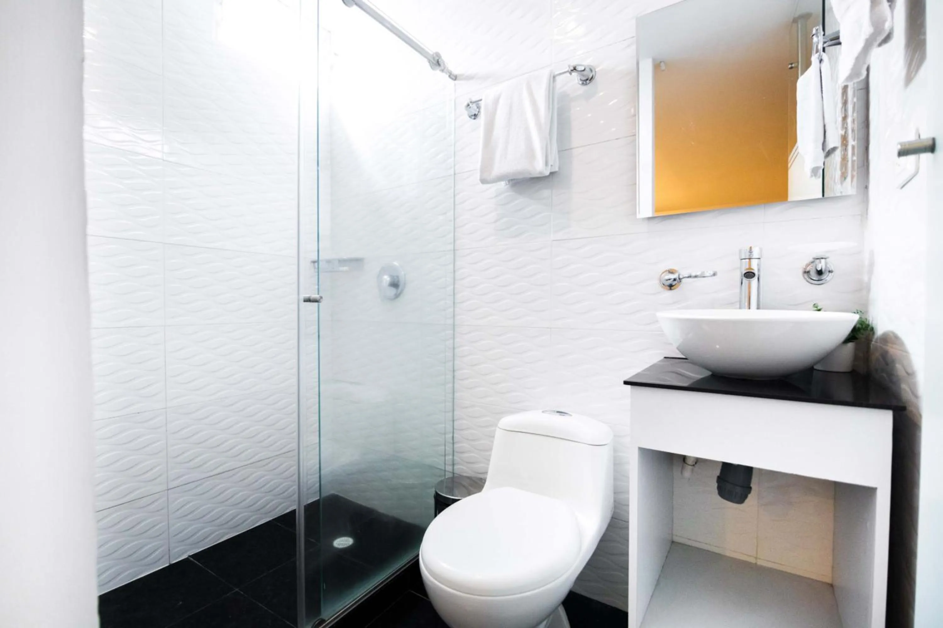 Shower in Hotel Z3 Pereira