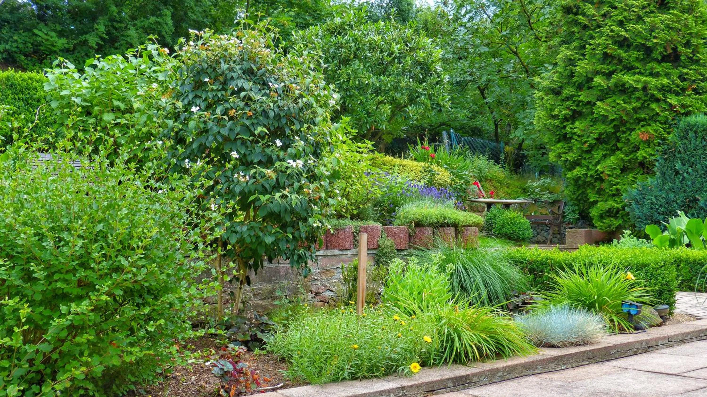 Garden in Hotel Rosenbusch