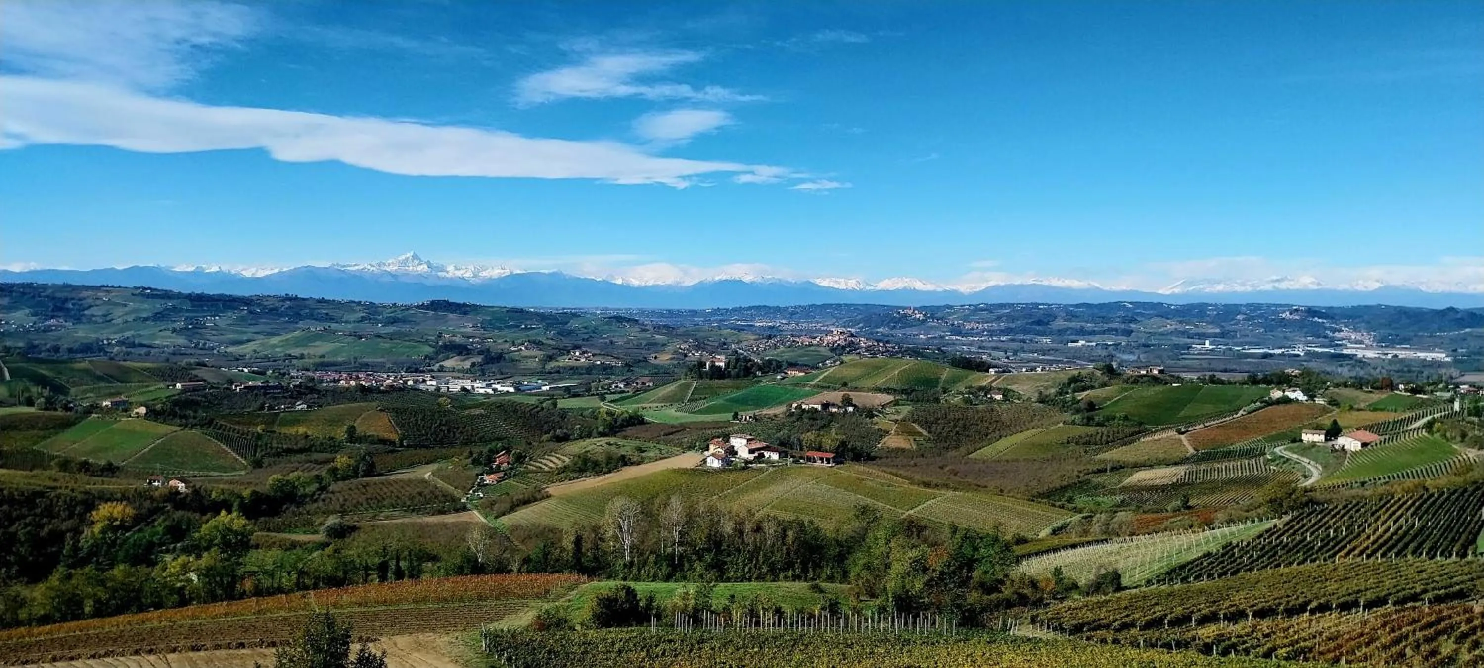 View (from property/room) in Villa Bellavista Alba, B&B